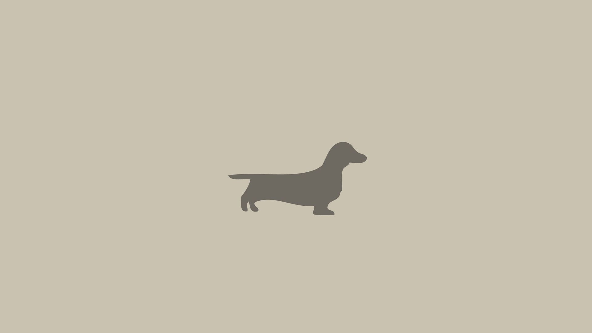 Download wallpaper 1920x1080 dachshund, dog, minimalism, animal full hd, hdtv, fhd, 1080p HD background