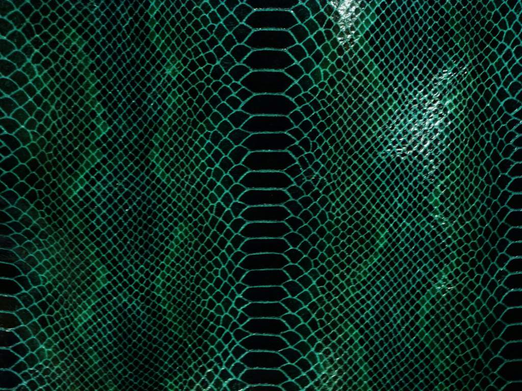 Green And Black Aesthetic Wallpaper