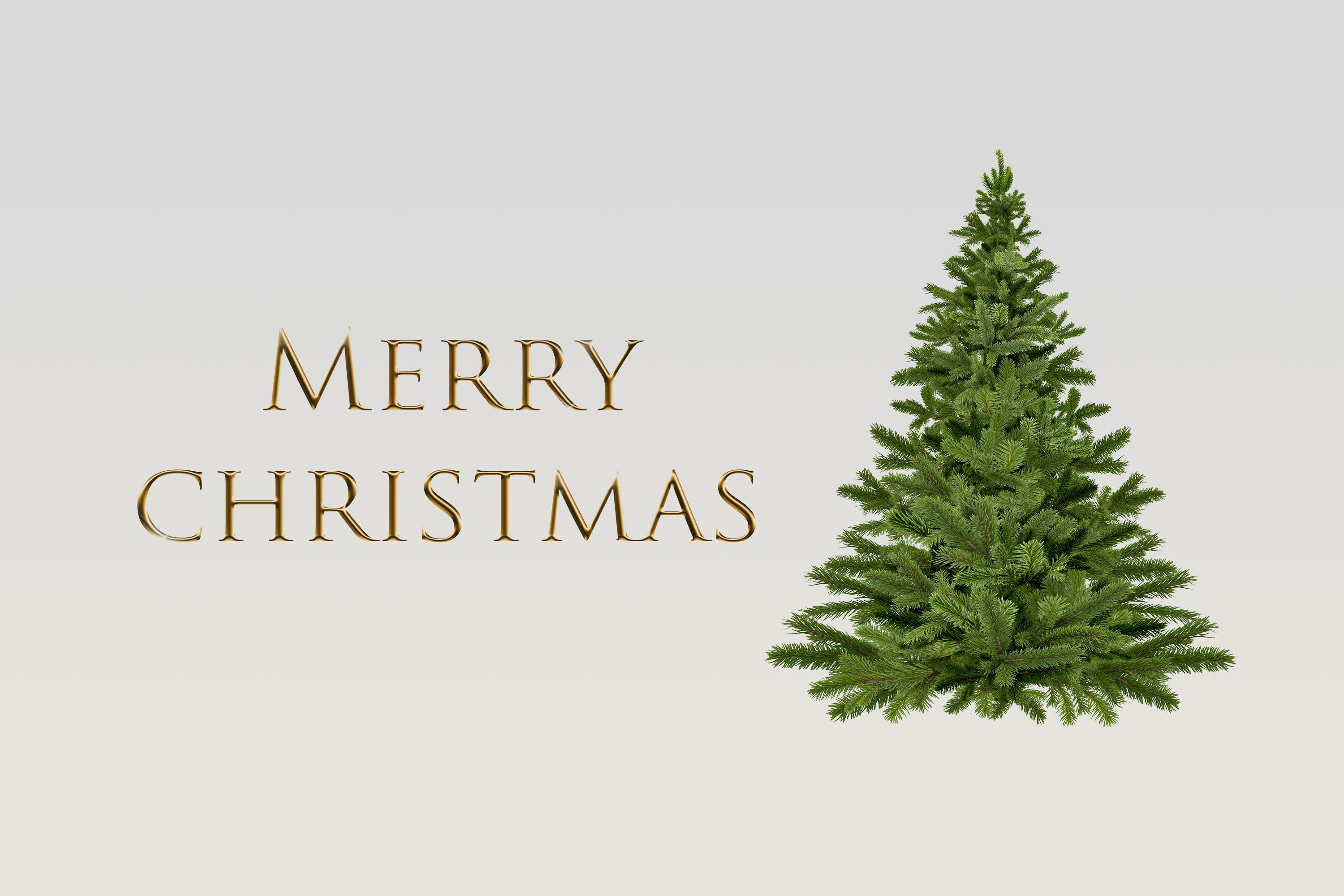 Free Christmas Stock Image, Background & Wallpaper of 2019