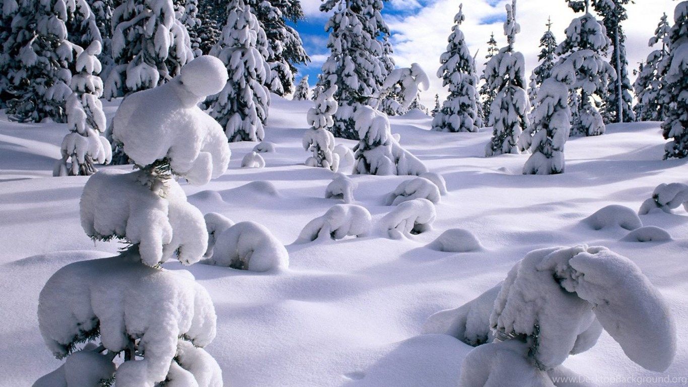 Winter Wonderland, Dreamy Snow Scene Wallpaper 1440x900 NO.7. Desktop Background