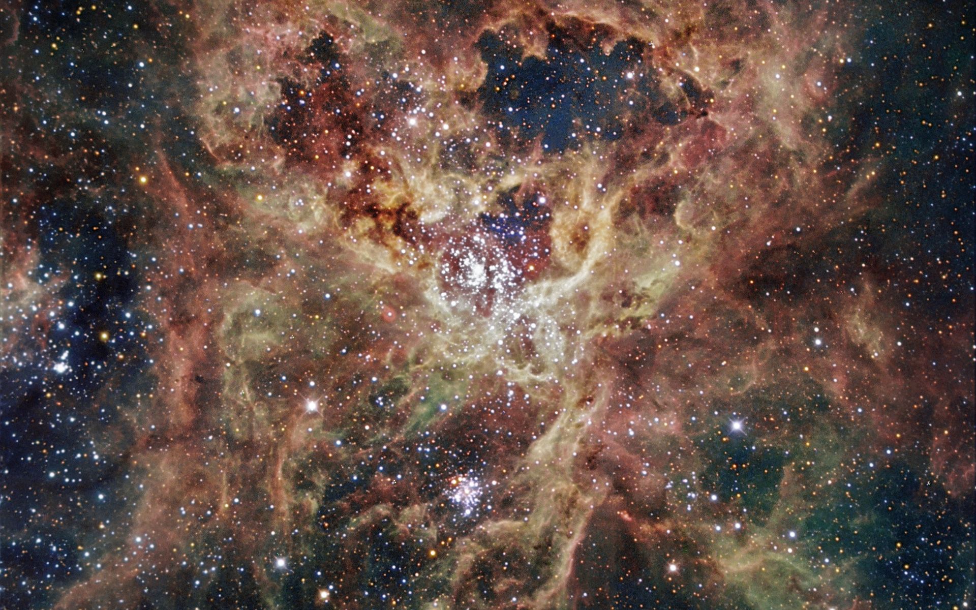 The Tarantula Nebula Space Wallpaper