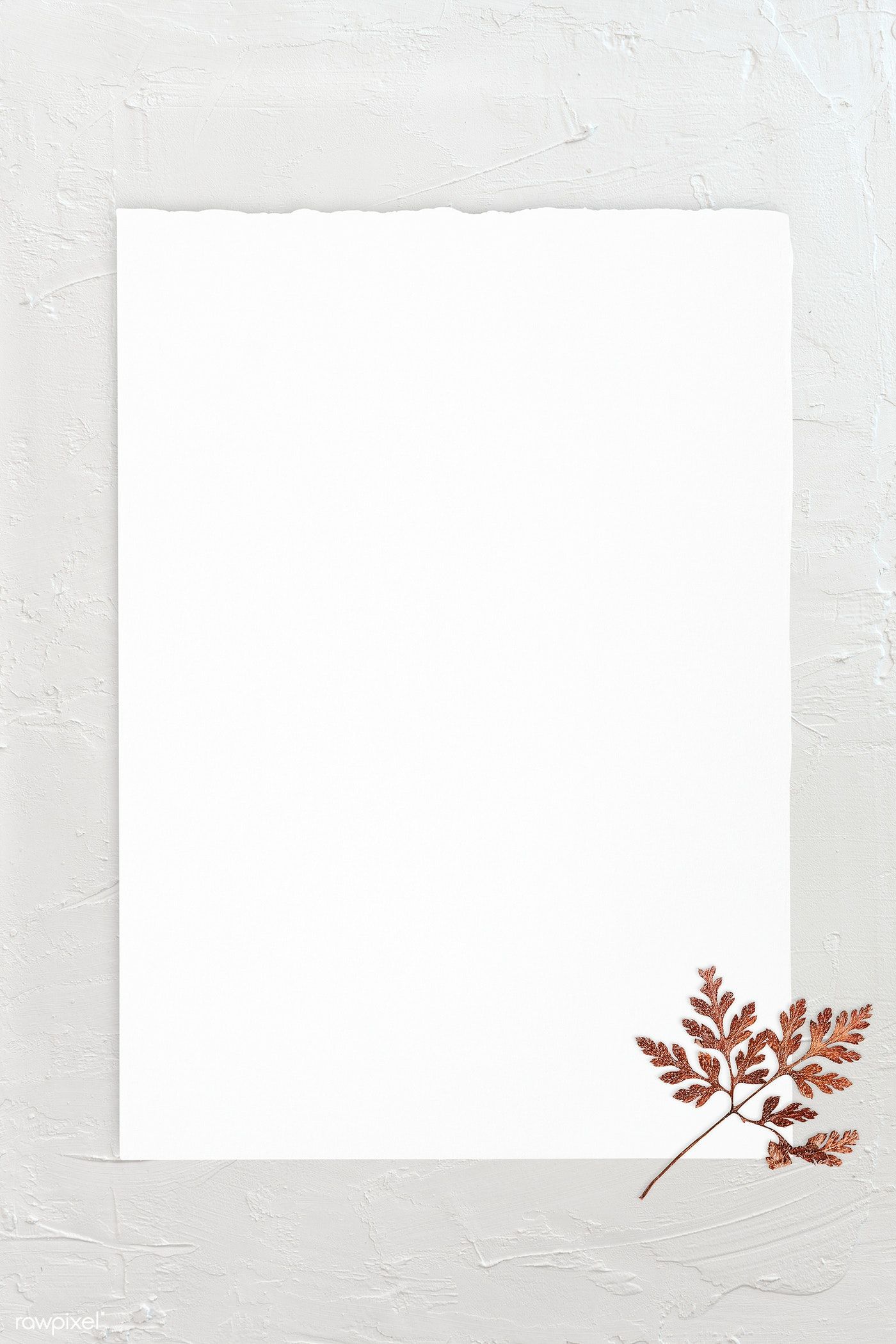 Download premium psd of Blank white paper with dry leaf 1201827. Paper , Flower background wallpaper, Collage background