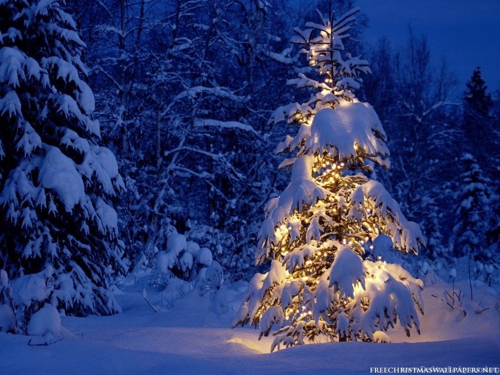 Christmas Snow Computer Wallpaper 192 HD Wallpaper Site Desktop Background