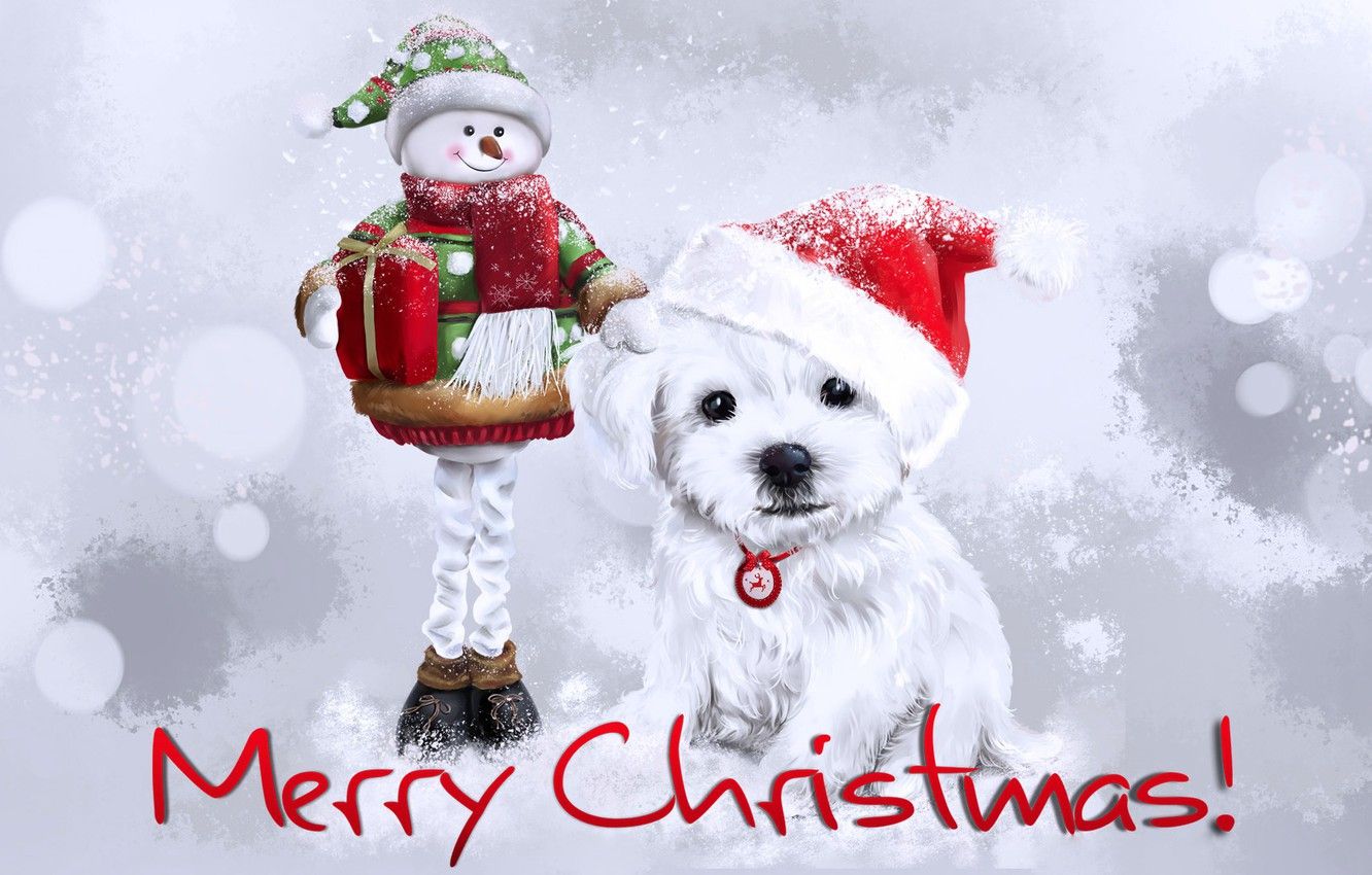 Wallpaper winter, dog, Christmas, New year, snowman, cap image for desktop, section новый год