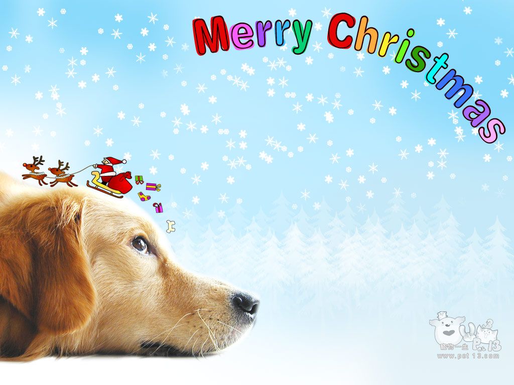 Free Christmas Wallpaper with Dogs
