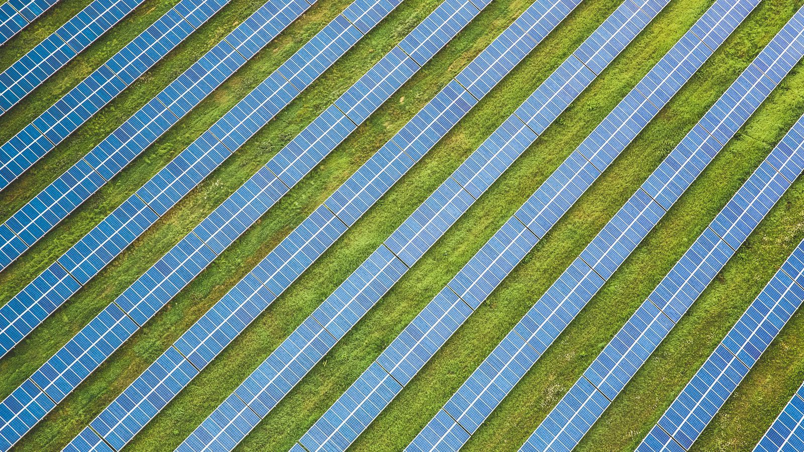 Download wallpaper 1600x900 solar panels, field, aerial view, texture, rows widescreen 16:9 HD background