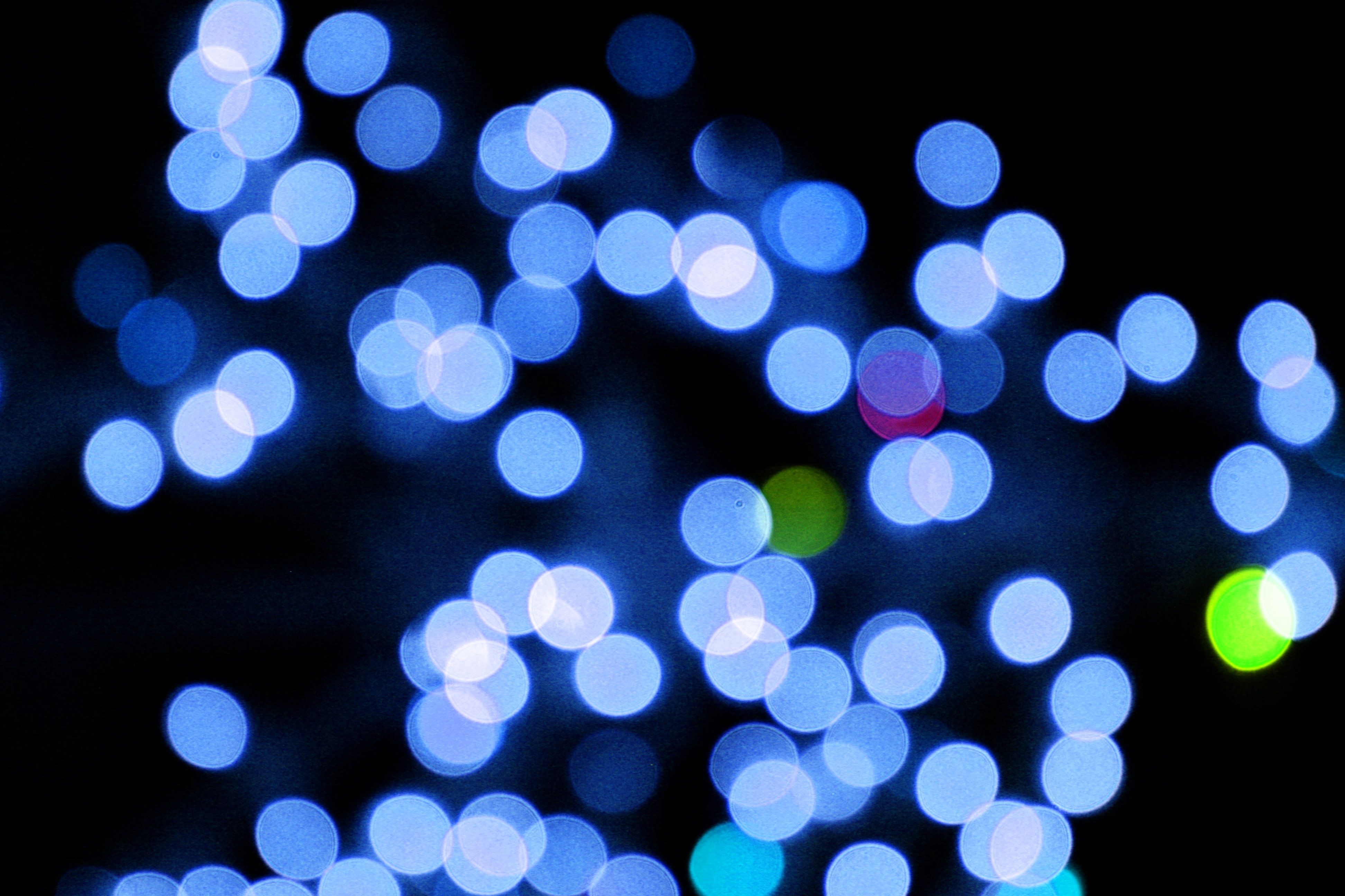 Blurred Christmas Lights Blue Picture. Free Photograph. Photo Public Domain