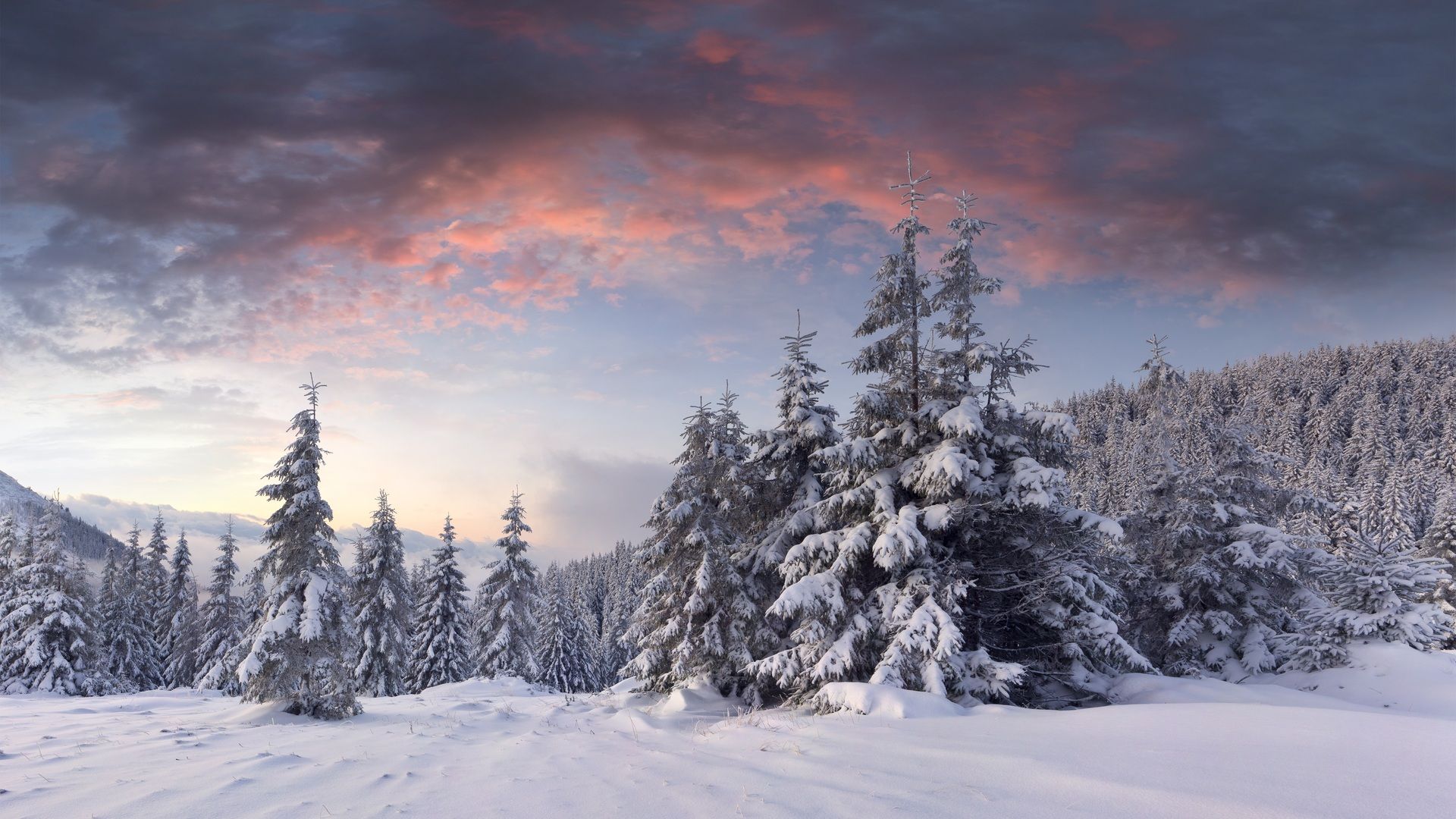 clouds, snow, hills, dawn, christmas tree, winter, forest desktop wallpaper 8075