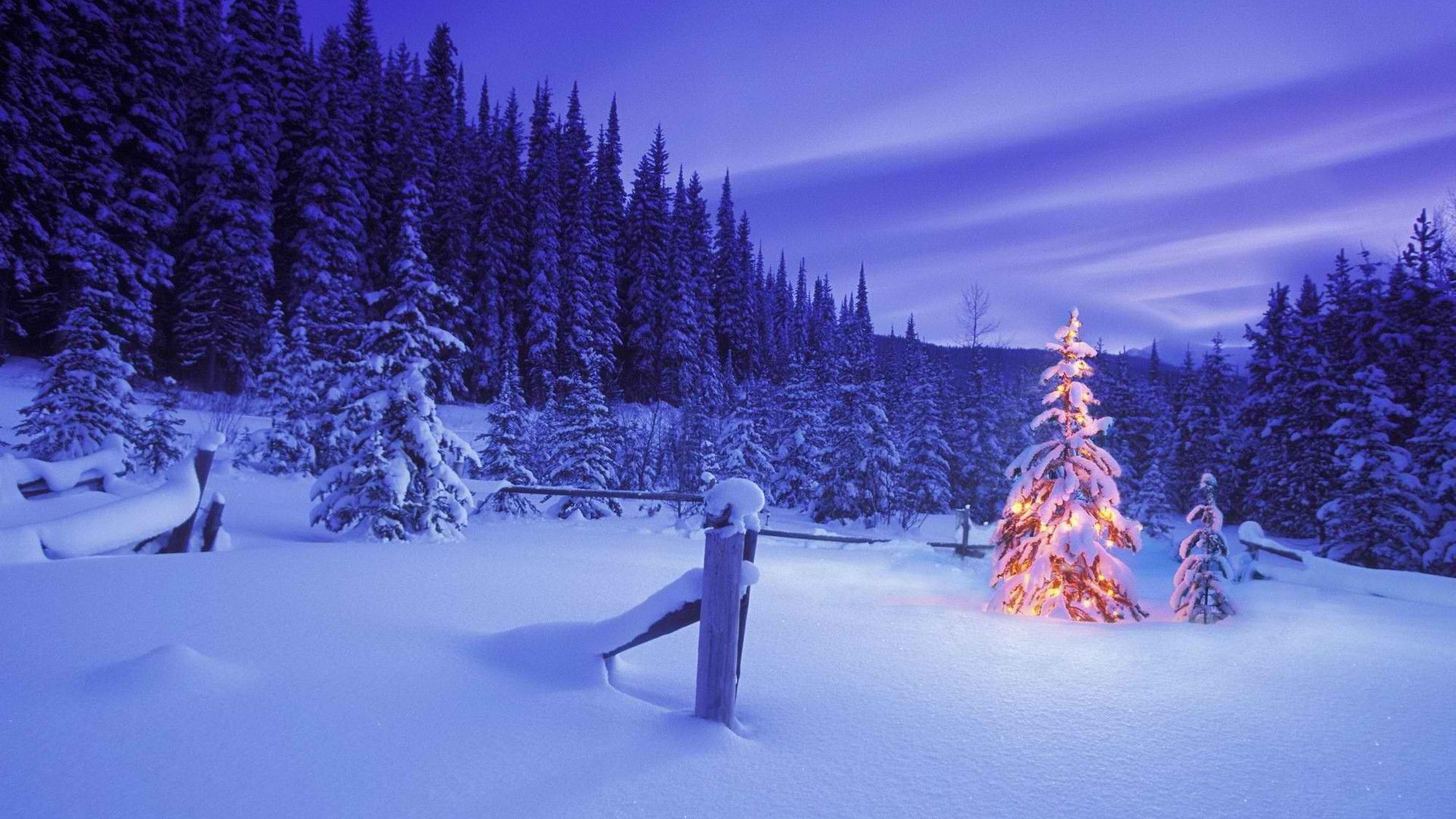 Free Christmas Wallpaper Nice Christmas Image Gzhaixier In The Forest