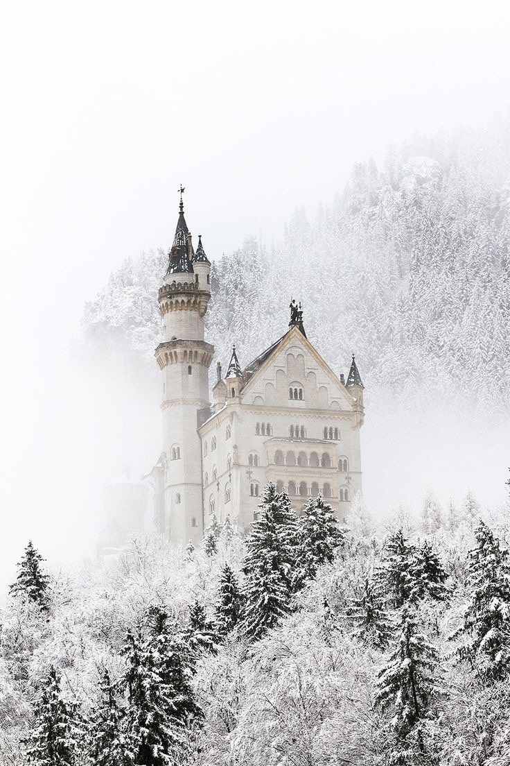 iPhone and Android Wallpaper: Winter Castle Wallpaper for iPhone and Android. Winter scenes, Winter vacation, Vacation