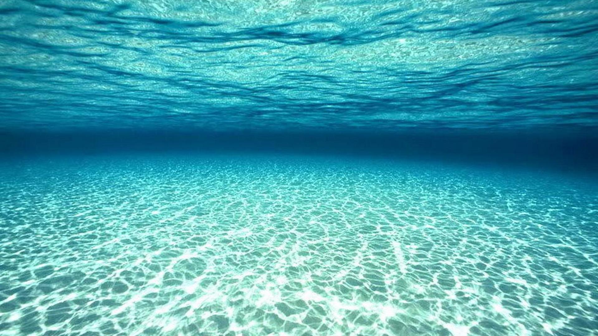 Under Sea Wallpaper Ocean Floor Ocean