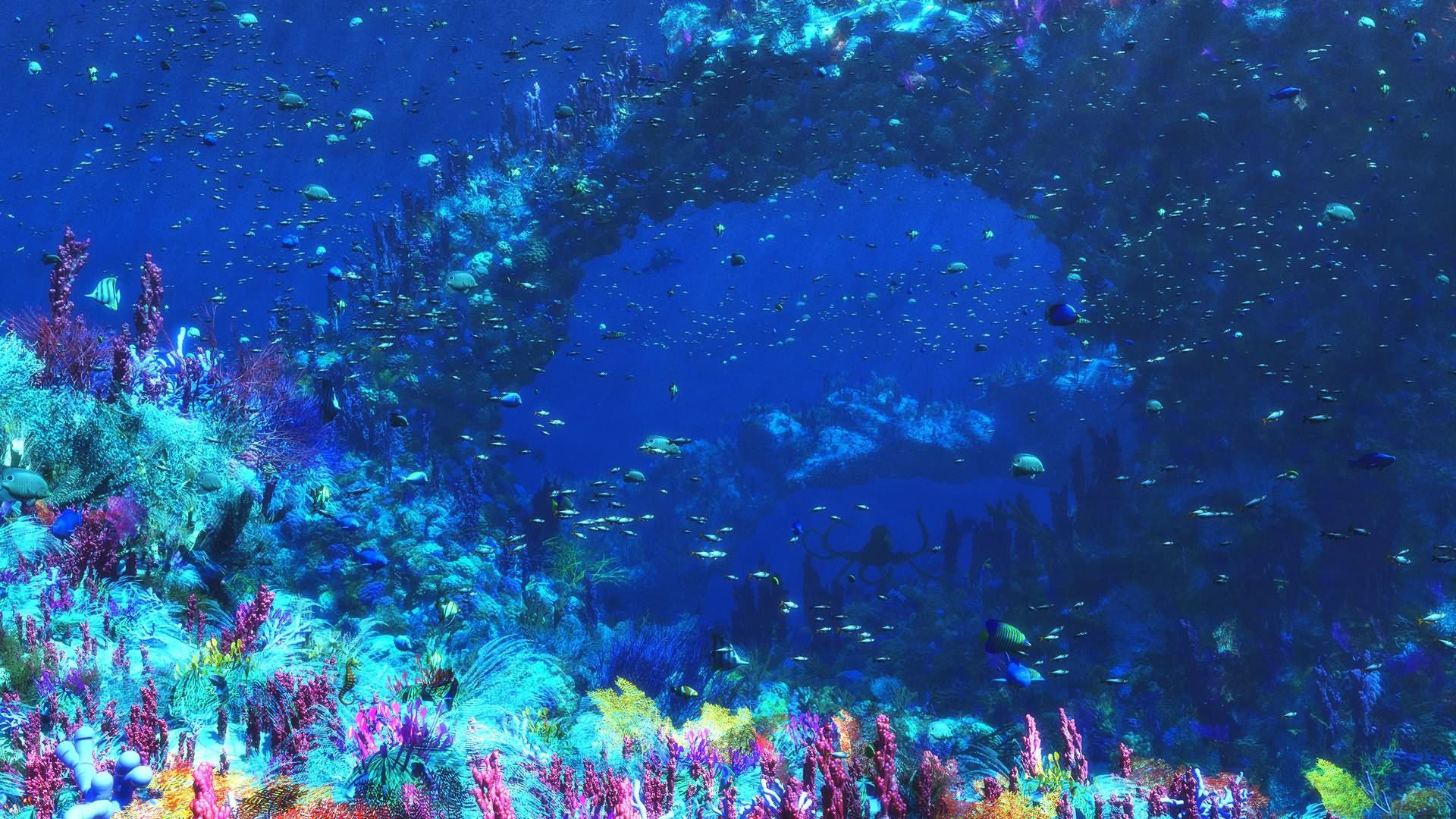 Under The Ocean Wallpaper