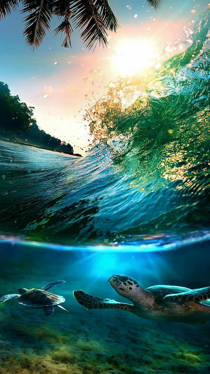 under ocean wallpaper
