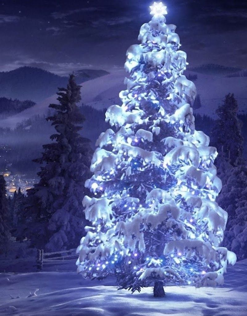 Android Best Wallpaper: Christmas Tree Snow Blue Lights Android Best Wallpaper