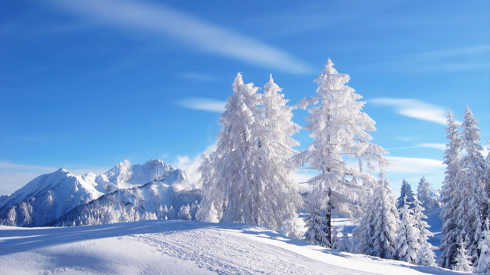 Nature Aesthetic Winter Desktop Wallpaper