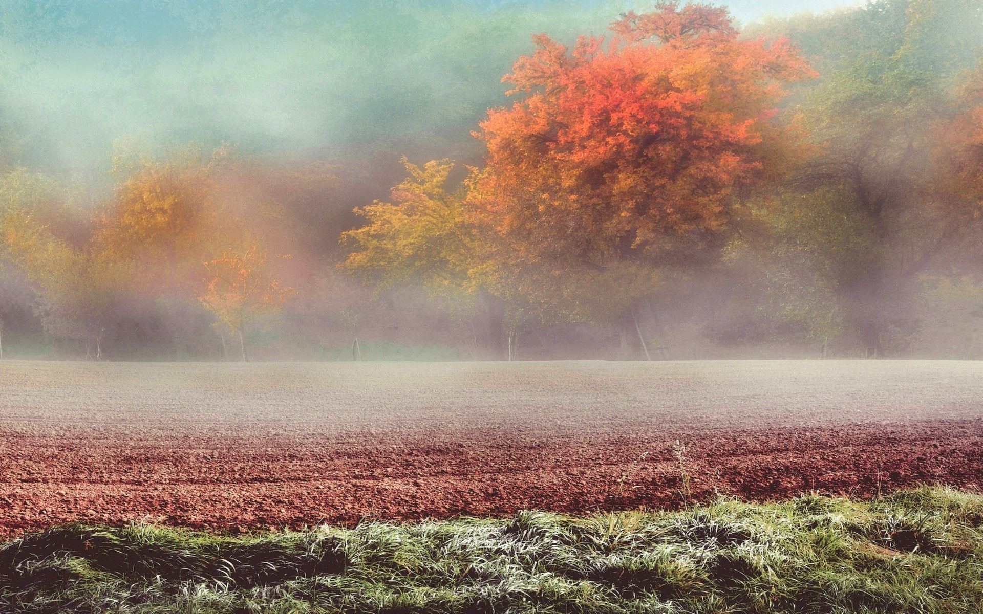 nature, Landscape, Frost, Field, Grass, Trees, Mist, Fall, Hill, Sunrise, Austria, Cold Wallpaper HD / Desktop and Mobile Background
