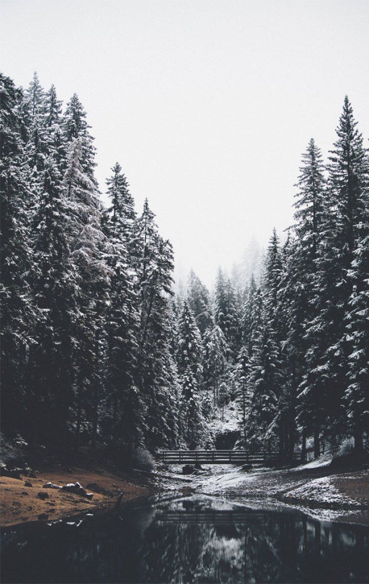 Winter Aesthetic iPhone Wallpapers - Wallpaper Cave