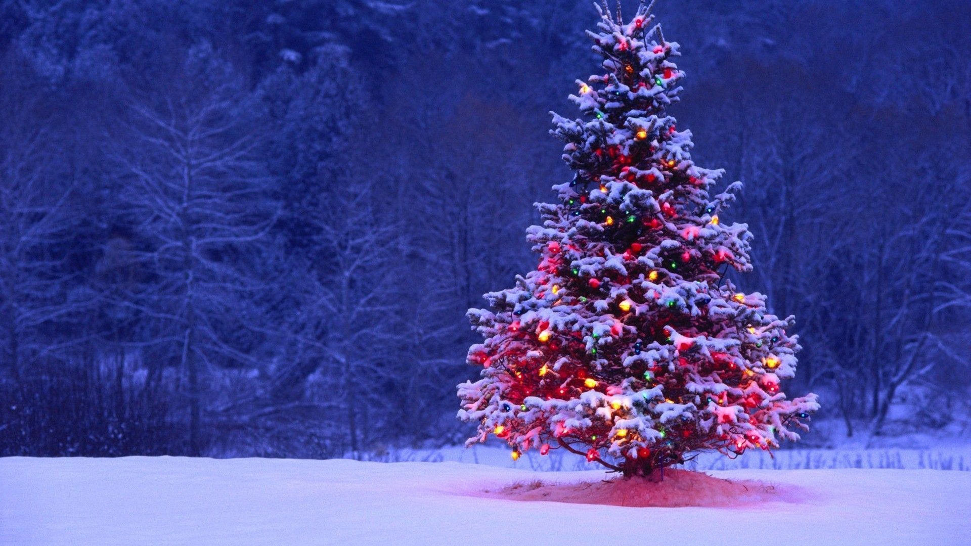 Christmas Tree Landscape Wallpapers  Wallpaper Cave