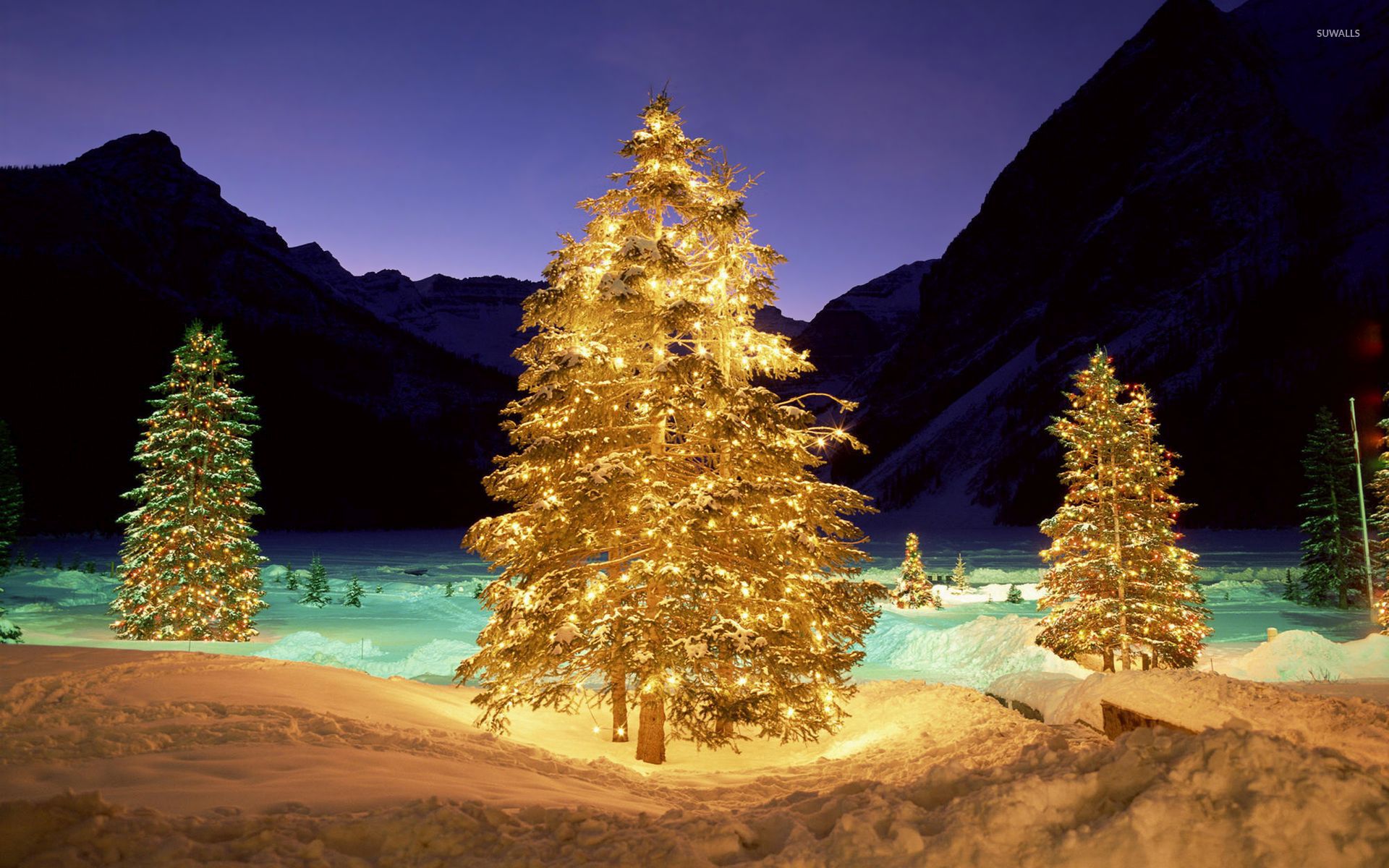 Christmas trees in the snowy nature wallpaper wallpaper
