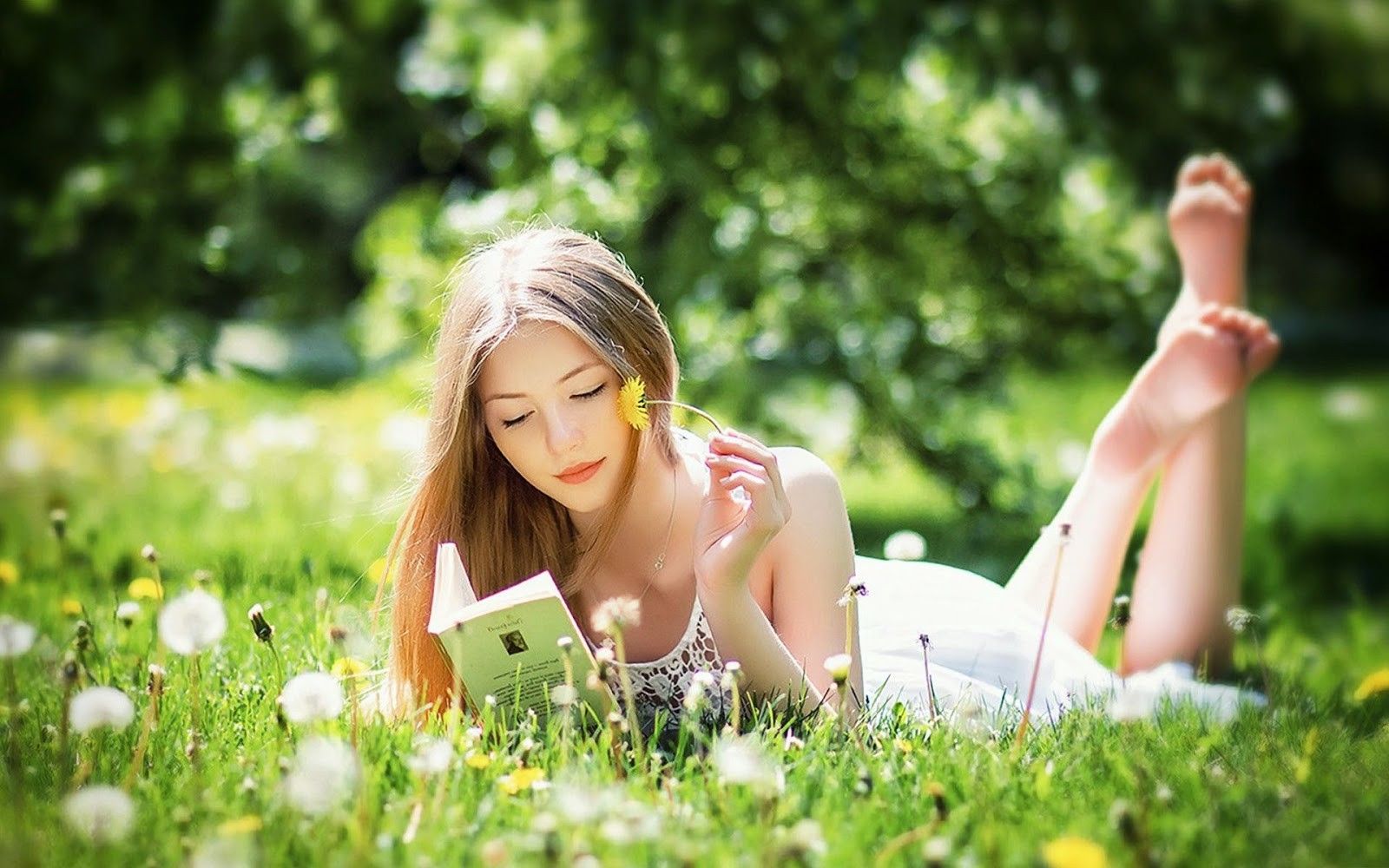 Wallpaper Of Hot Girl Are Reading The Book HD Desktop Wallpaper Cool Download 1600x1000