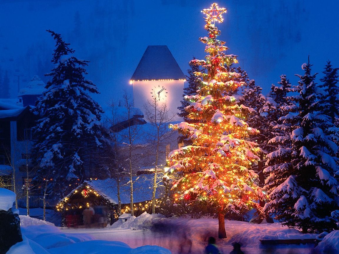 Clock Tower And Christmas Tree