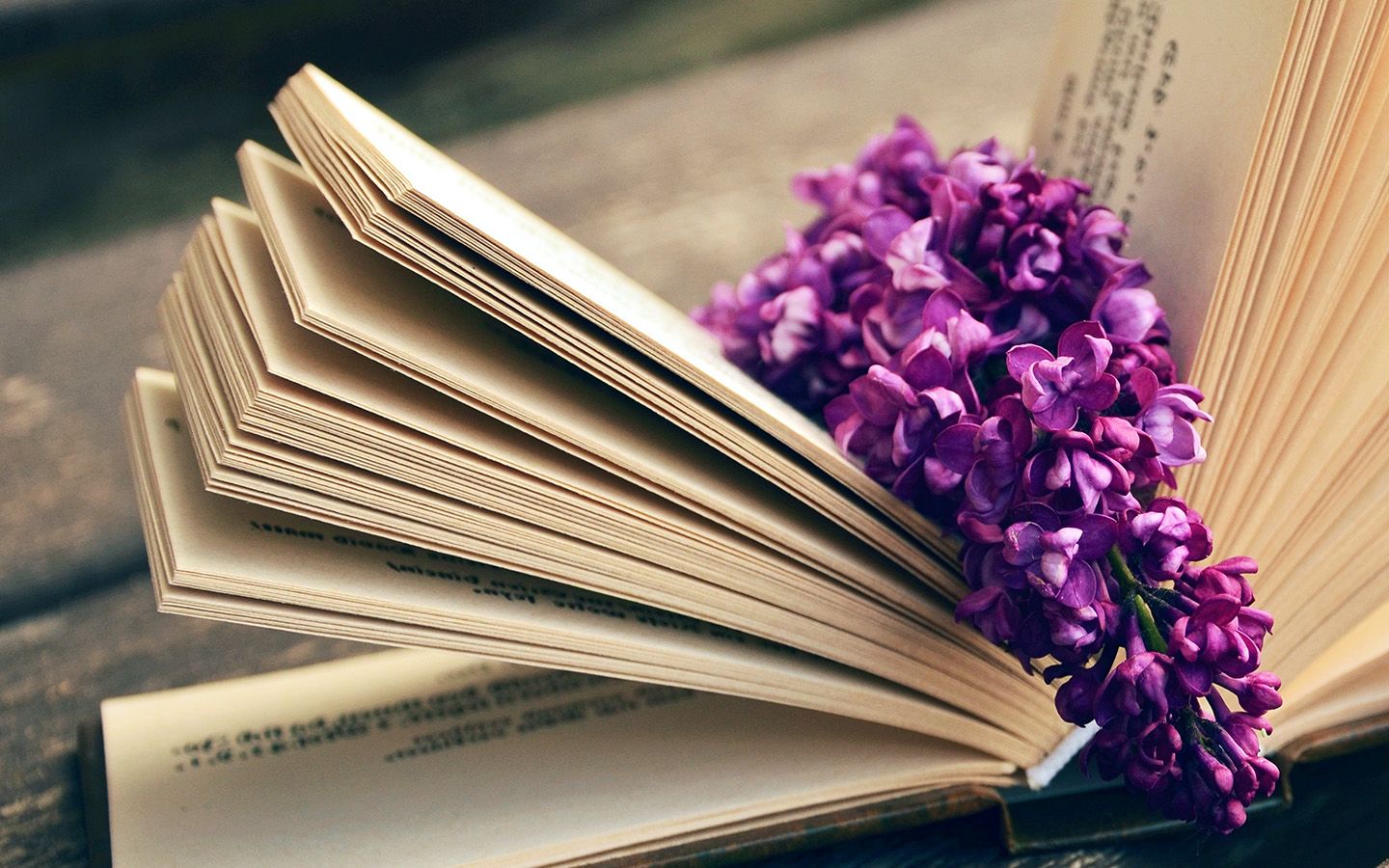 Book Read Time Flower Flare Purple Wallpaper
