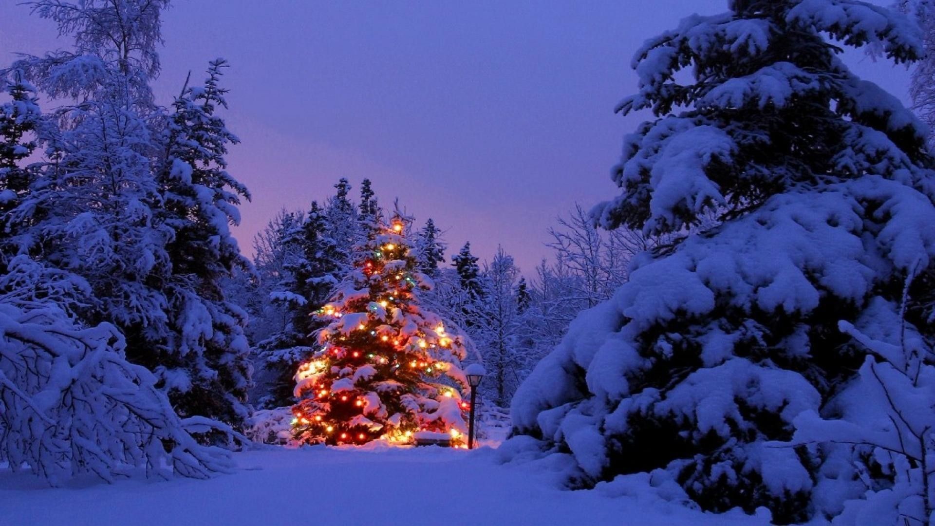 Christmas Tree Landscape Wallpapers - Wallpaper Cave