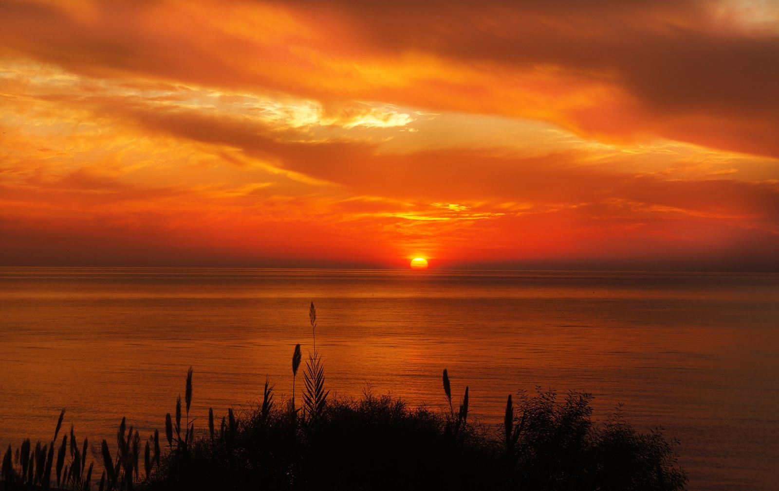 Nature Sky Sea Ocean Clouds Sunset Sunrise Dawn Sun Horizon Wallpaper.com. Best High Quality Wallpaper