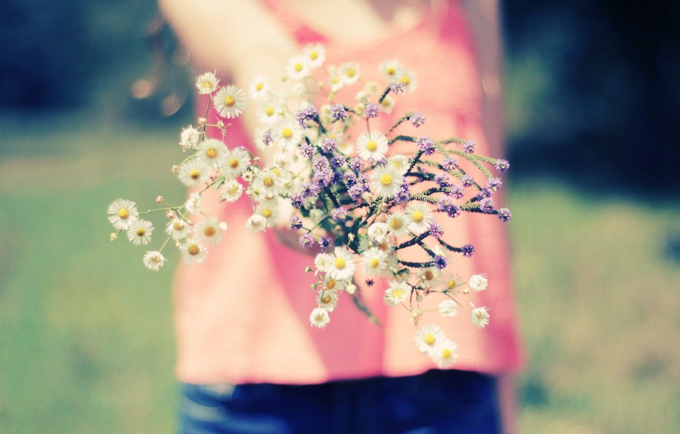 Wallpaper flowers, macro, wallpaper, flowers. girl, background, nature, blur, Wallpaper, girl, full screen image for desktop, section макро