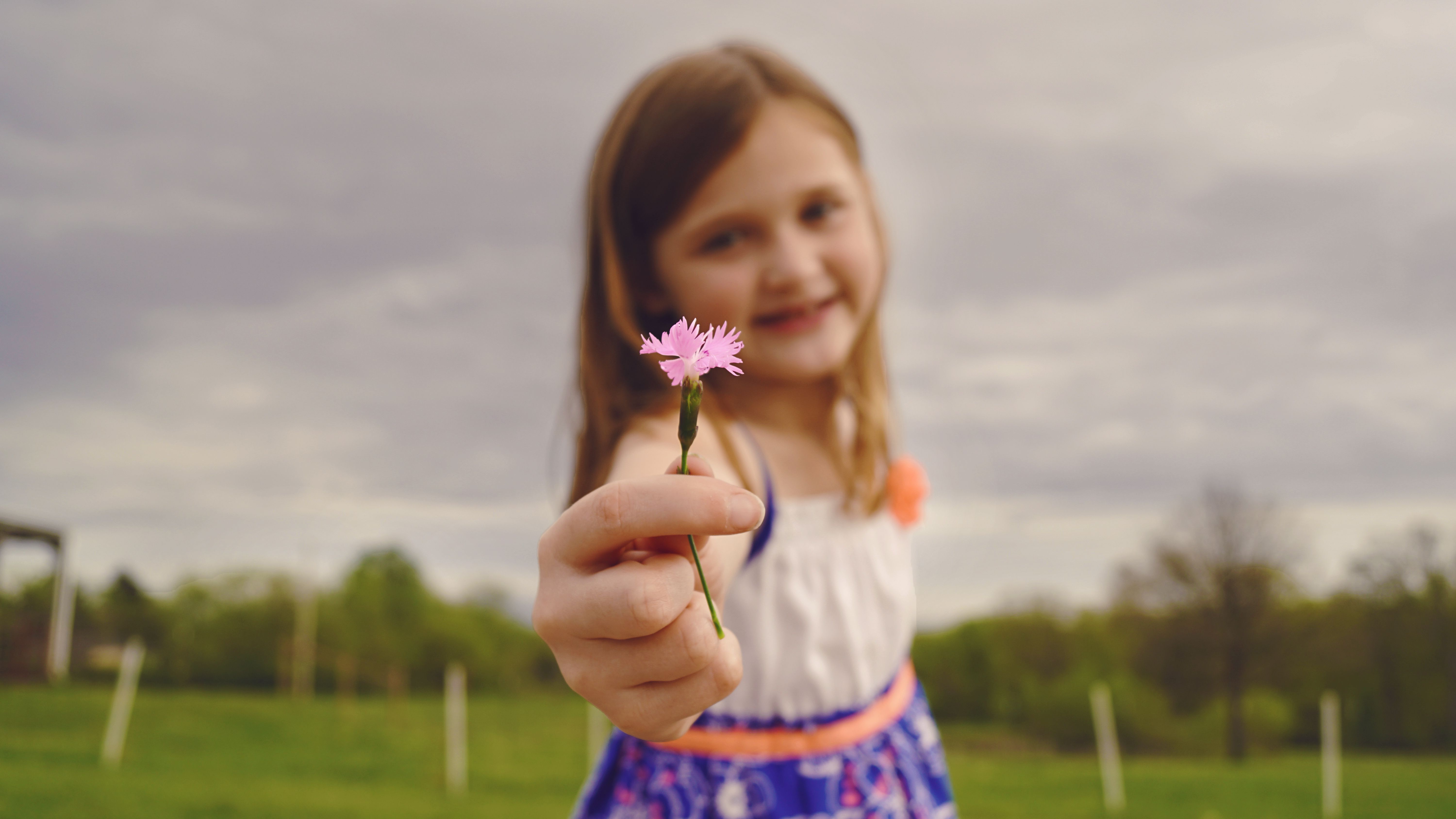 Selective Focus Photography of Girl Holding Pink Flower wallpaper