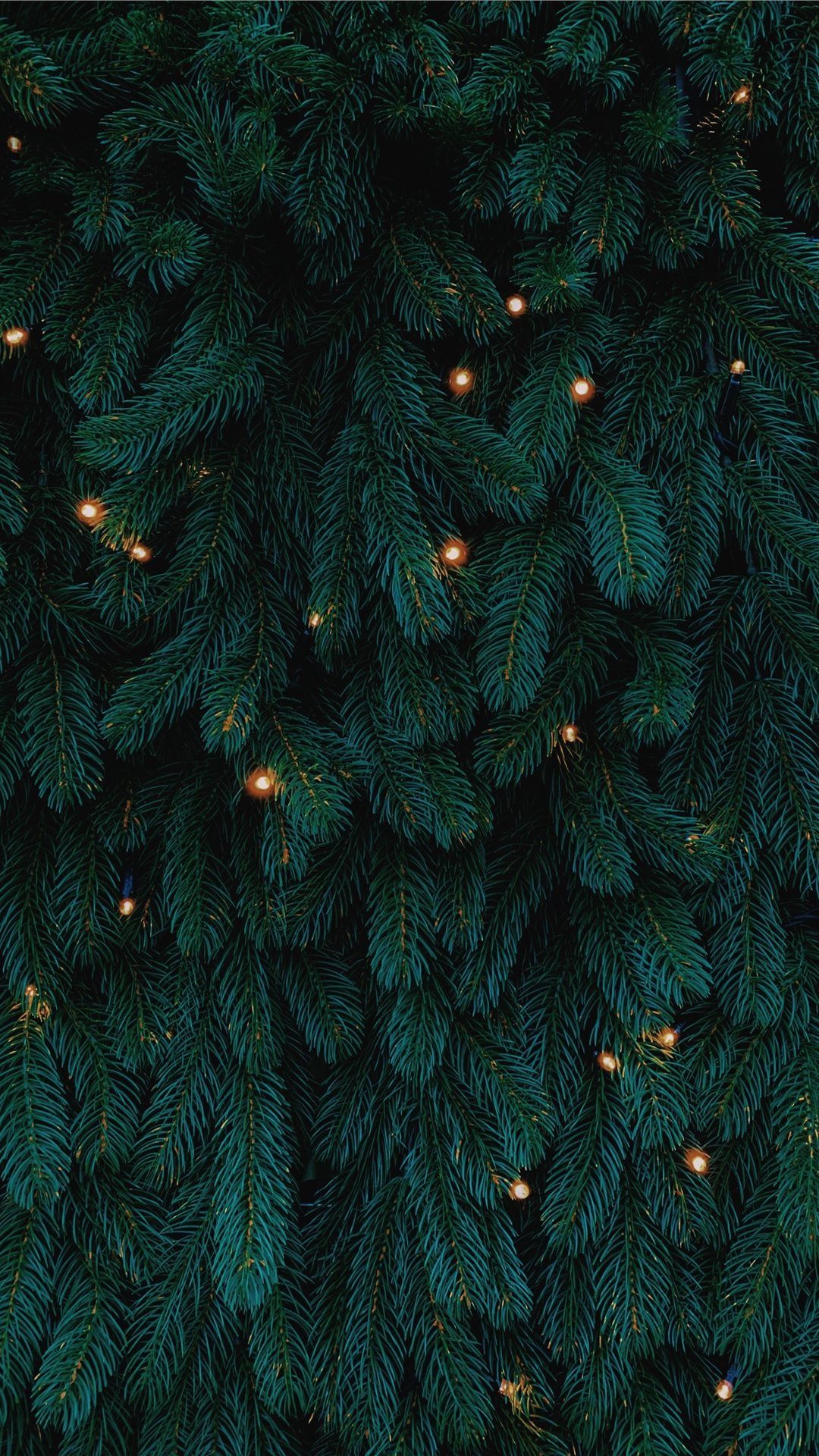 green Christmas tree with lights iPhone SE Wallpaper Free Download