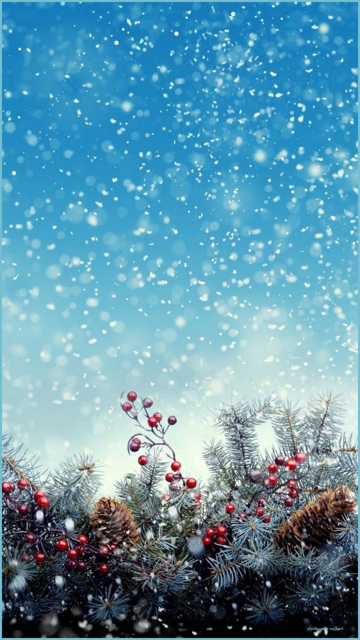 Easy Rules Of Christmas iPhone Wallpaper