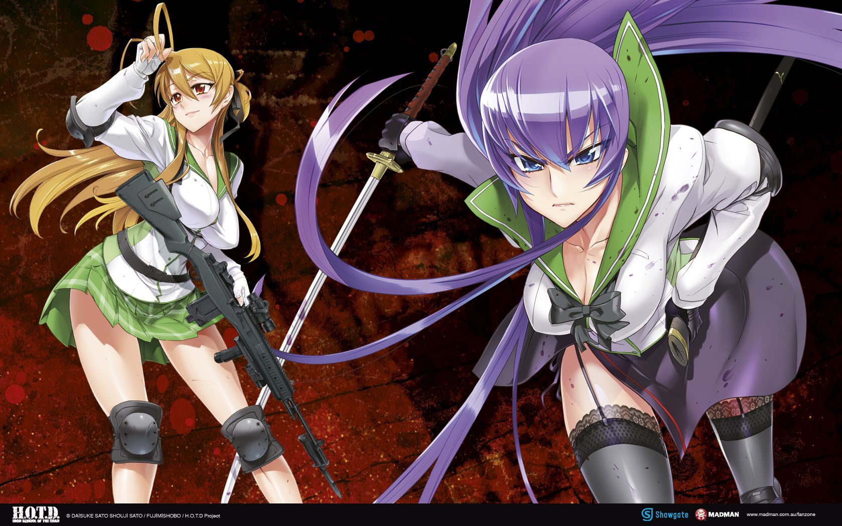 Highschool Of The Dead Wallpaper HD