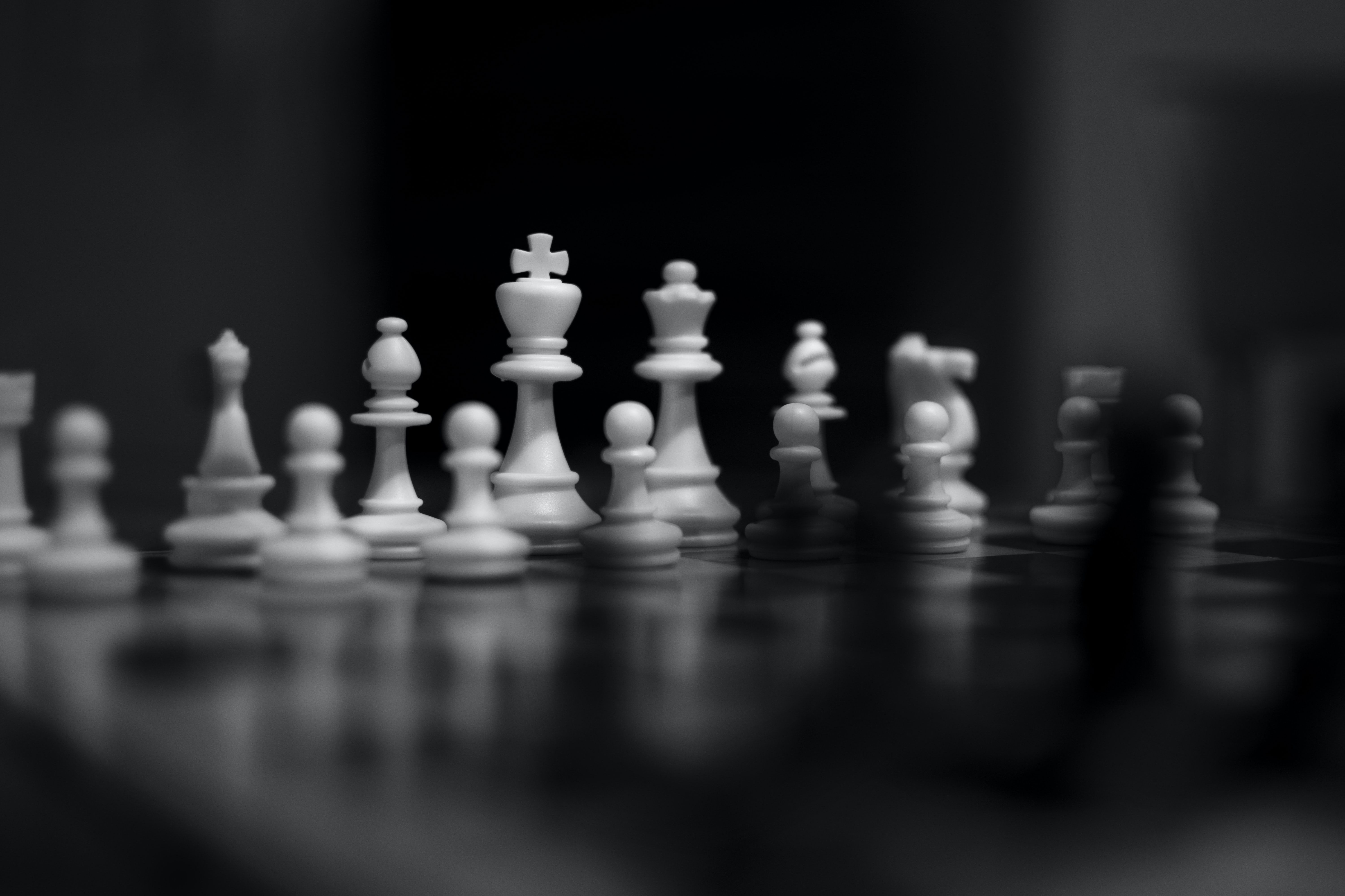 white and black chess pieces photo