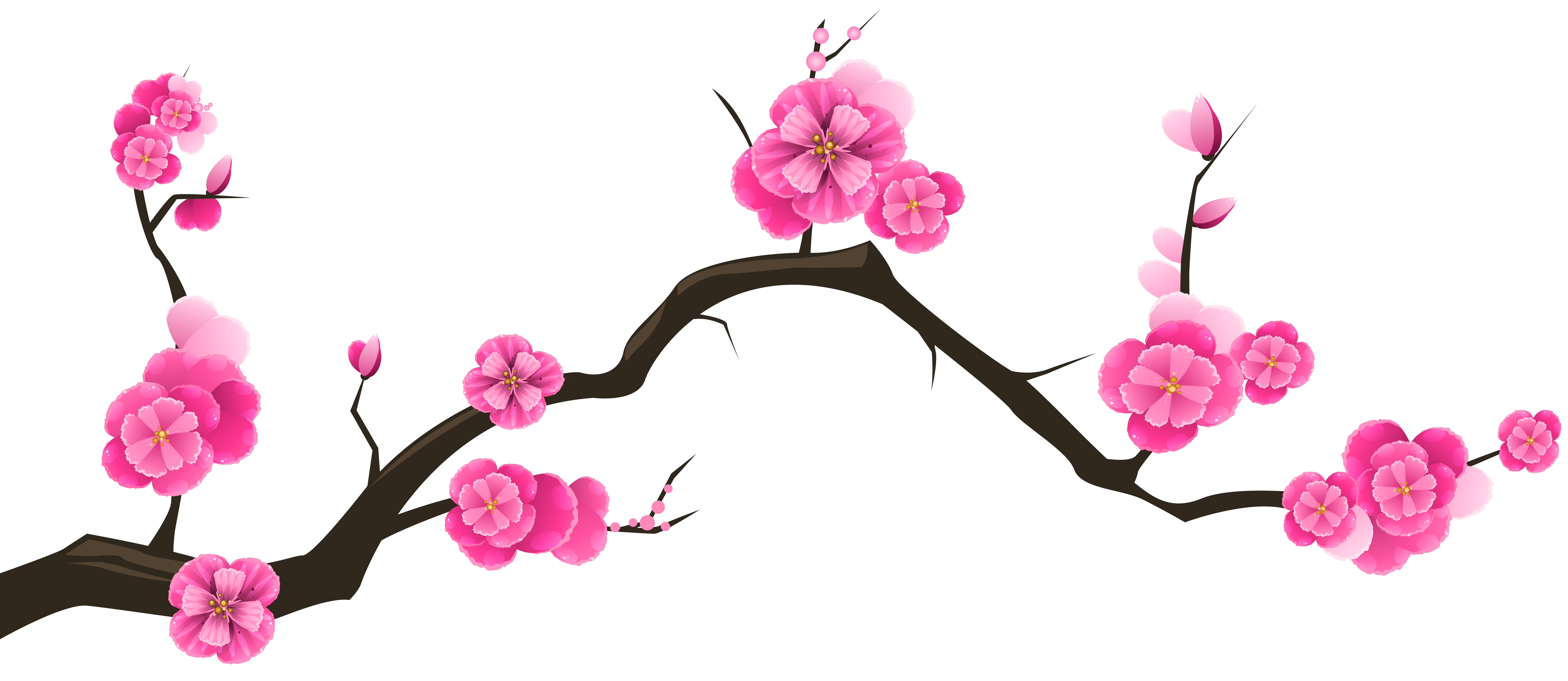 Sakura Branch Transparent Clip Art Image Quality Image And Transparent PNG Free Clipart