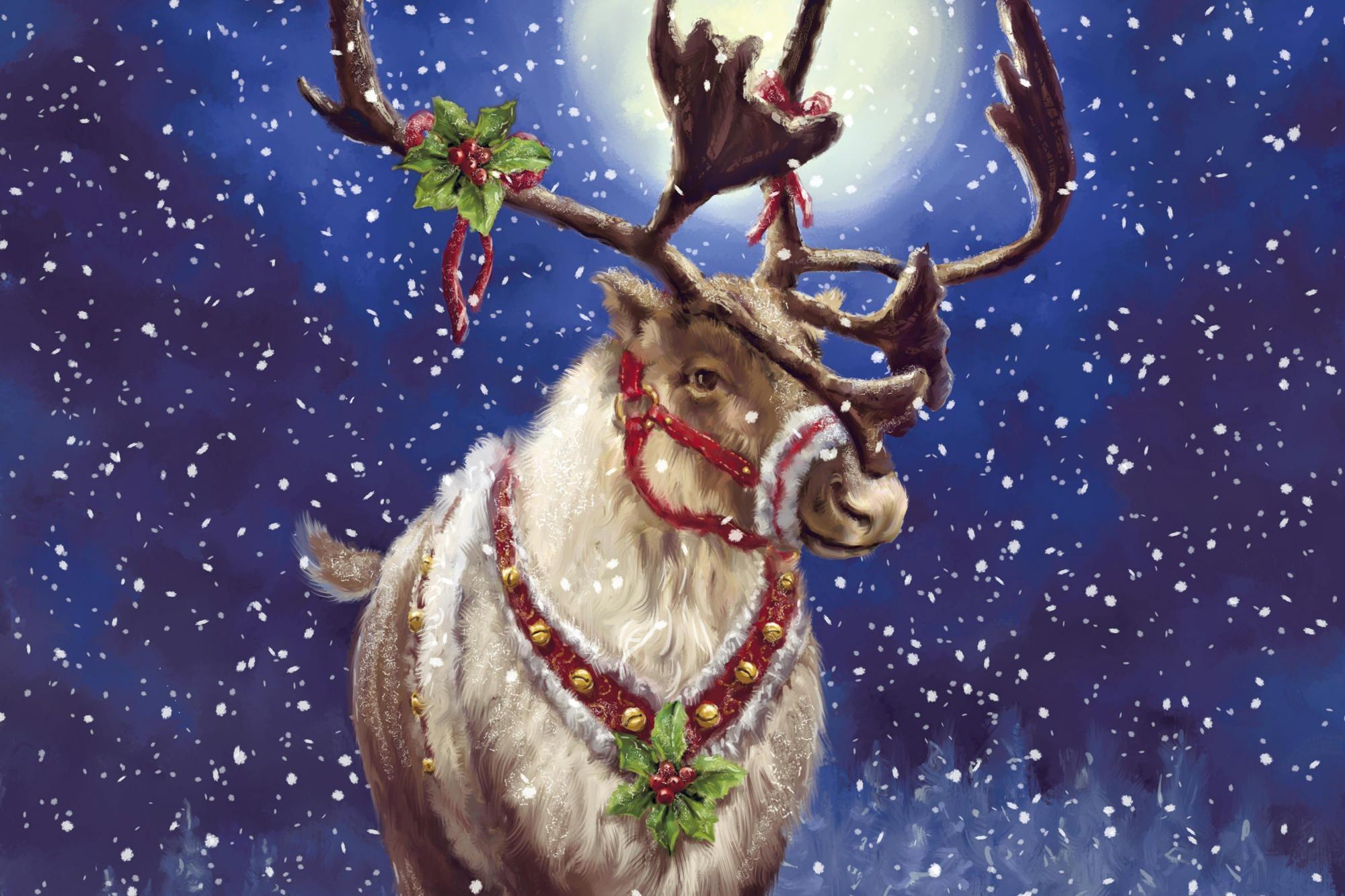 Christmas Deer Wallpaper Free Christmas Deer Background