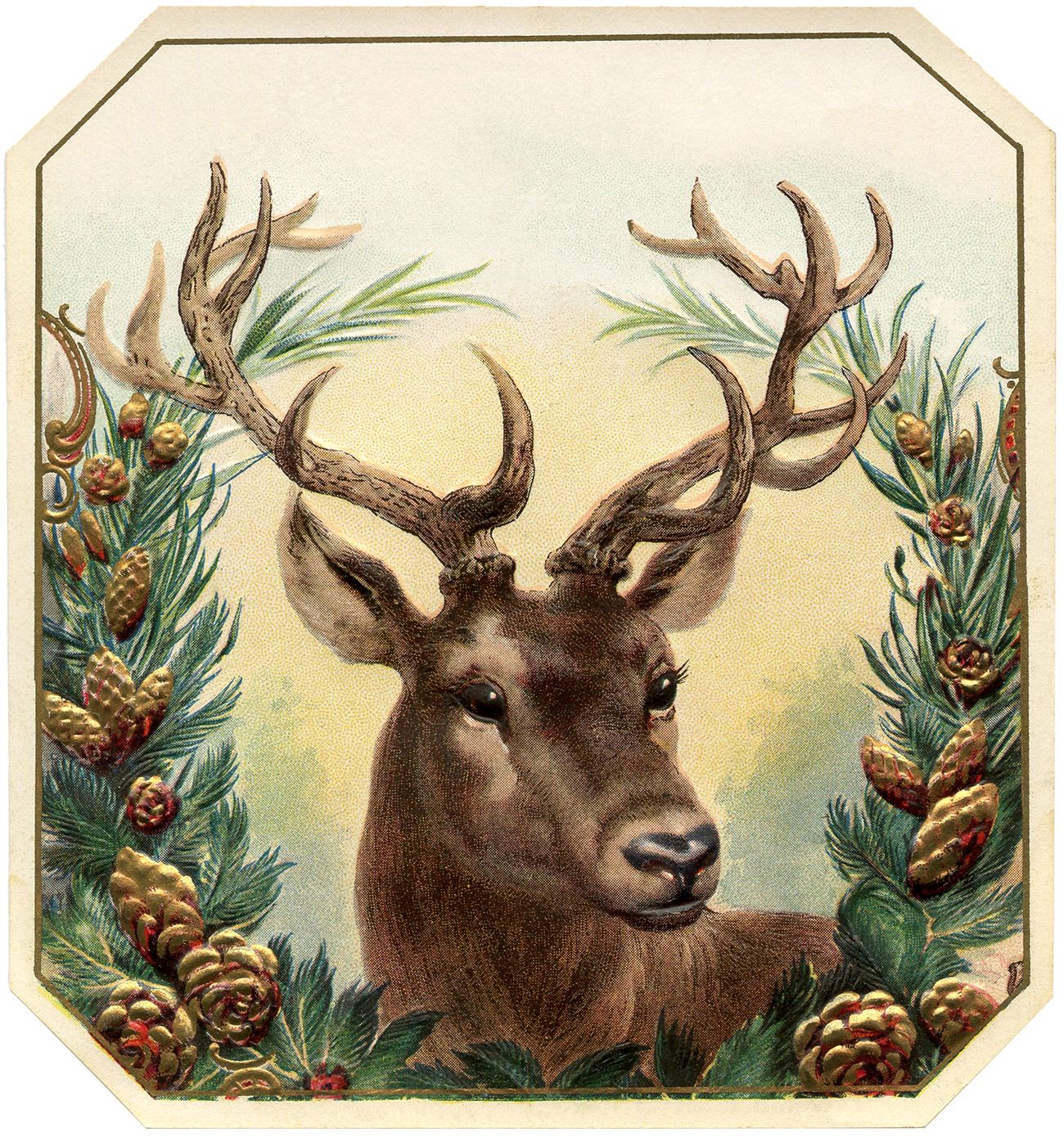 Christmas Deer Pictures - Christmas Deer Royalty Illustration Deers 