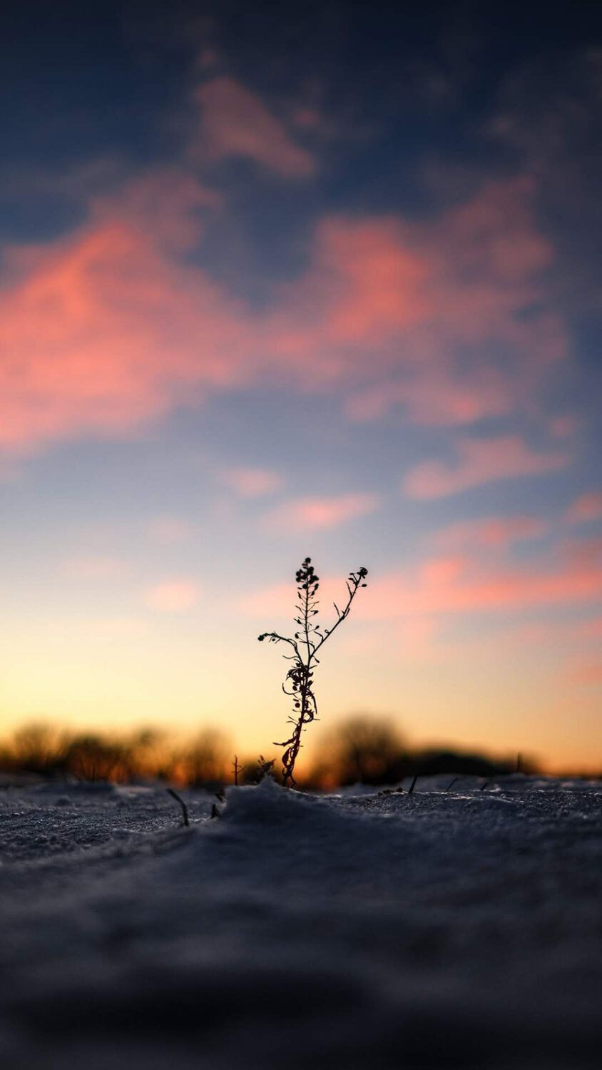 Samsung Galaxy A5 Wallpaper Wallpaper Free Download