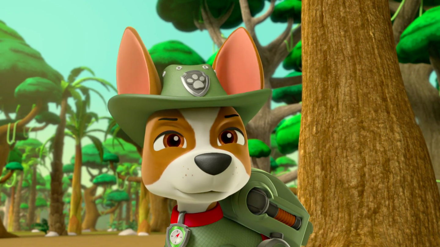 Paw Patrol Tracker Wallpapers  Wallpaper Cave