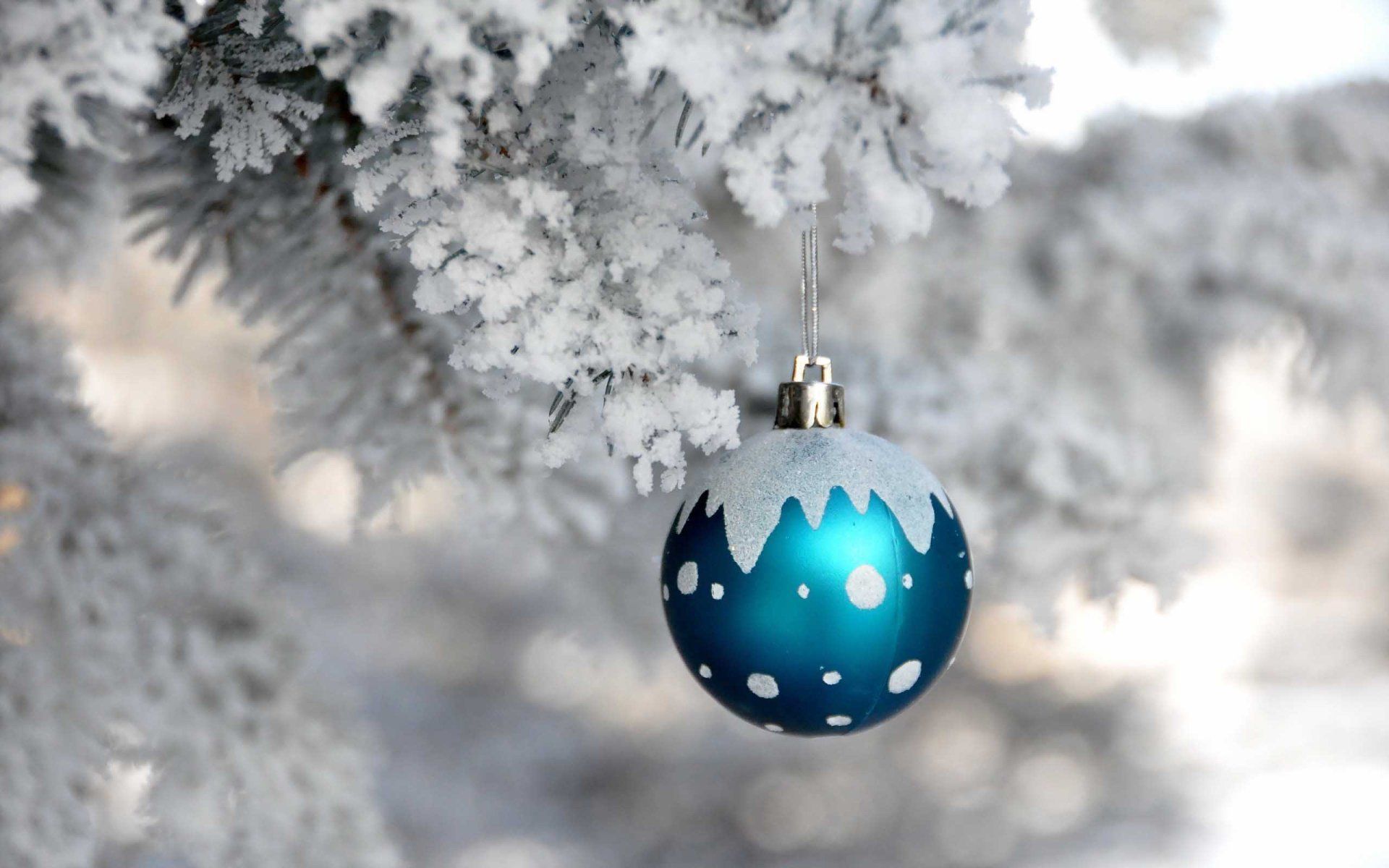 Blue Christmas Balls In Frozen Ice Background HD Snow Wallpaper & Background Download