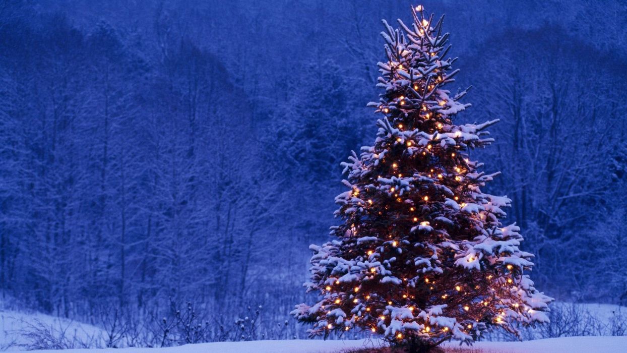 Merry Christmas holiday winter snow beautiful tree gift santa wallpaperx1080