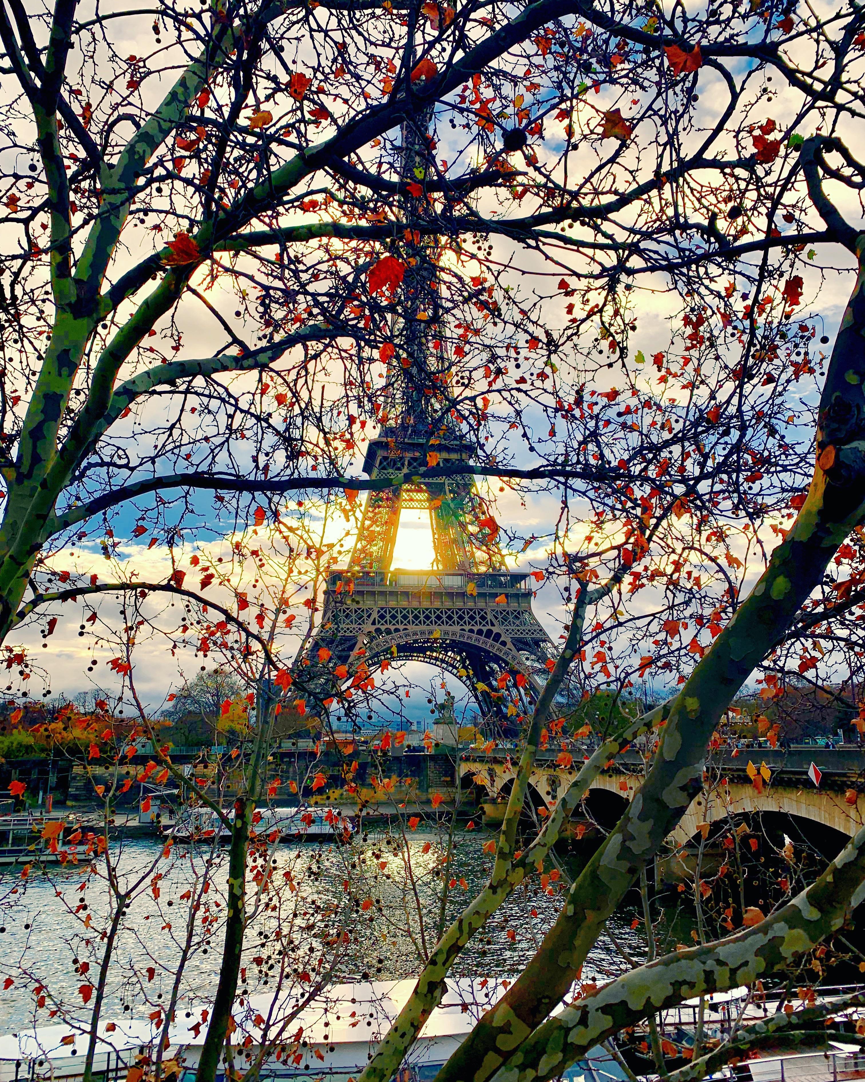 Sunrise + Autumn + iPhone XS Max + Snapseed + Paris = Wallpaper