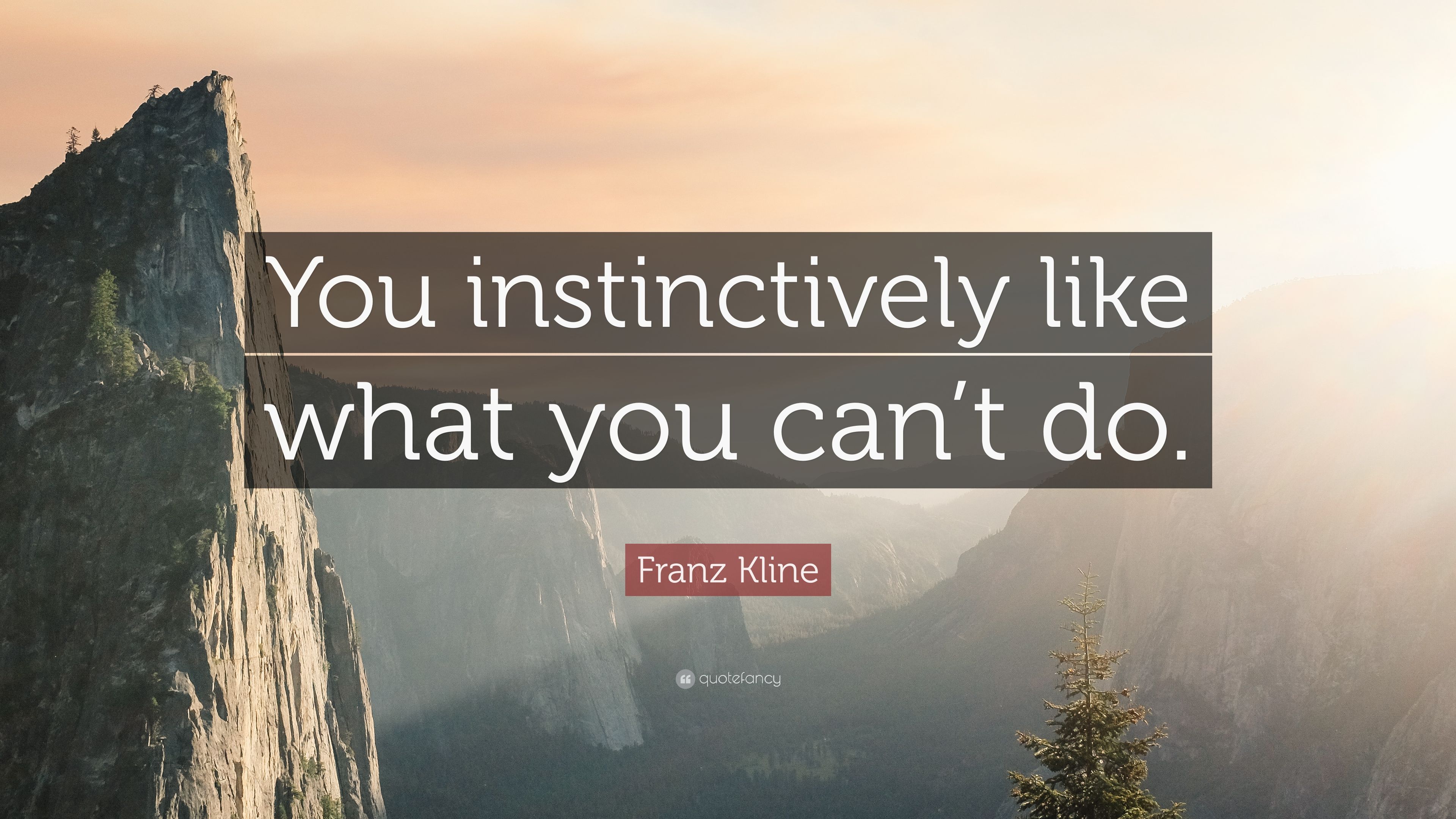 Franz Kline Quote: “You instinctively like what you can't do.” (10 wallpaper)