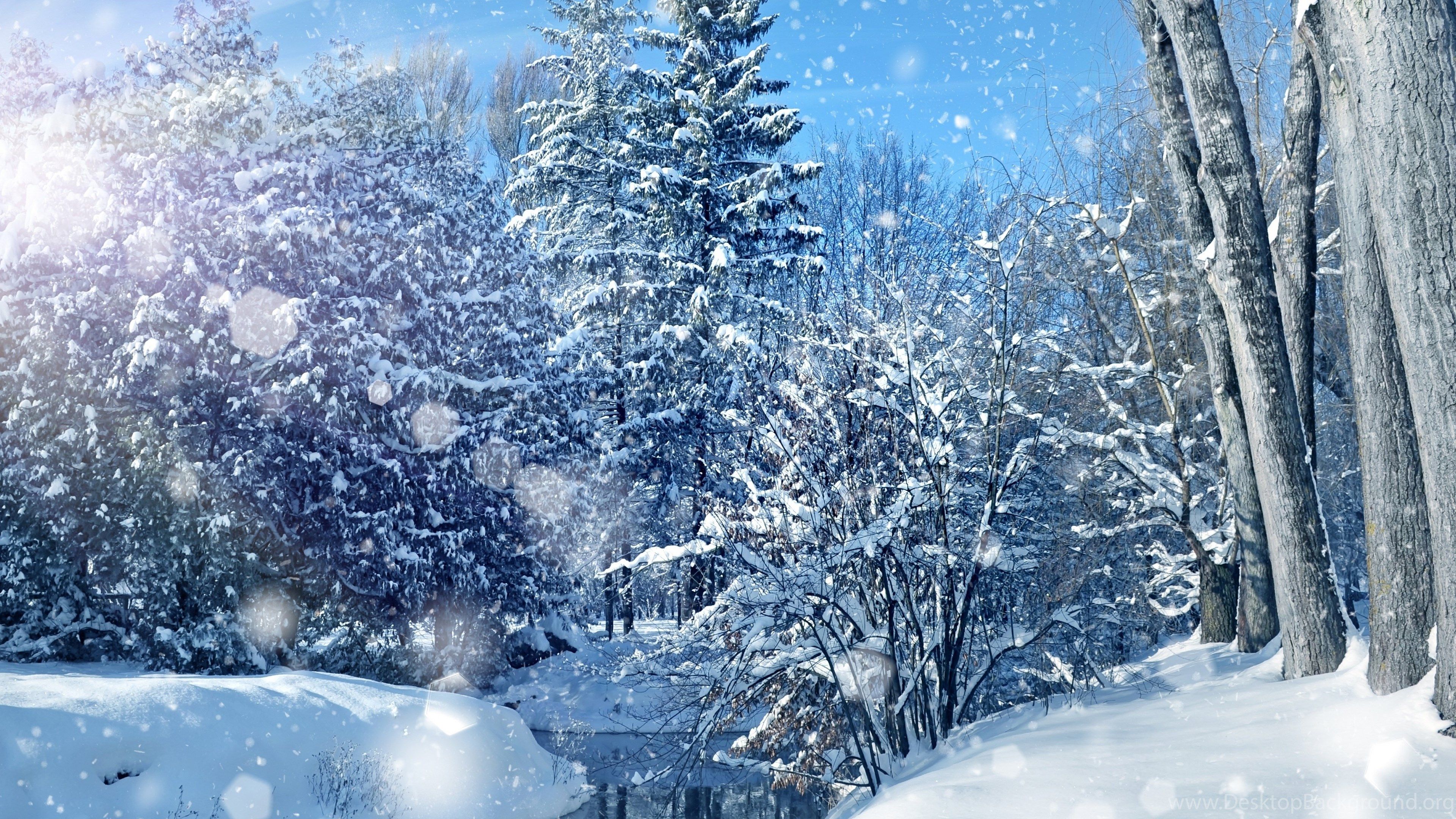 Nature Sky Trees Landscape Winter Bokeh Christmas Wallpaper. Desktop Background