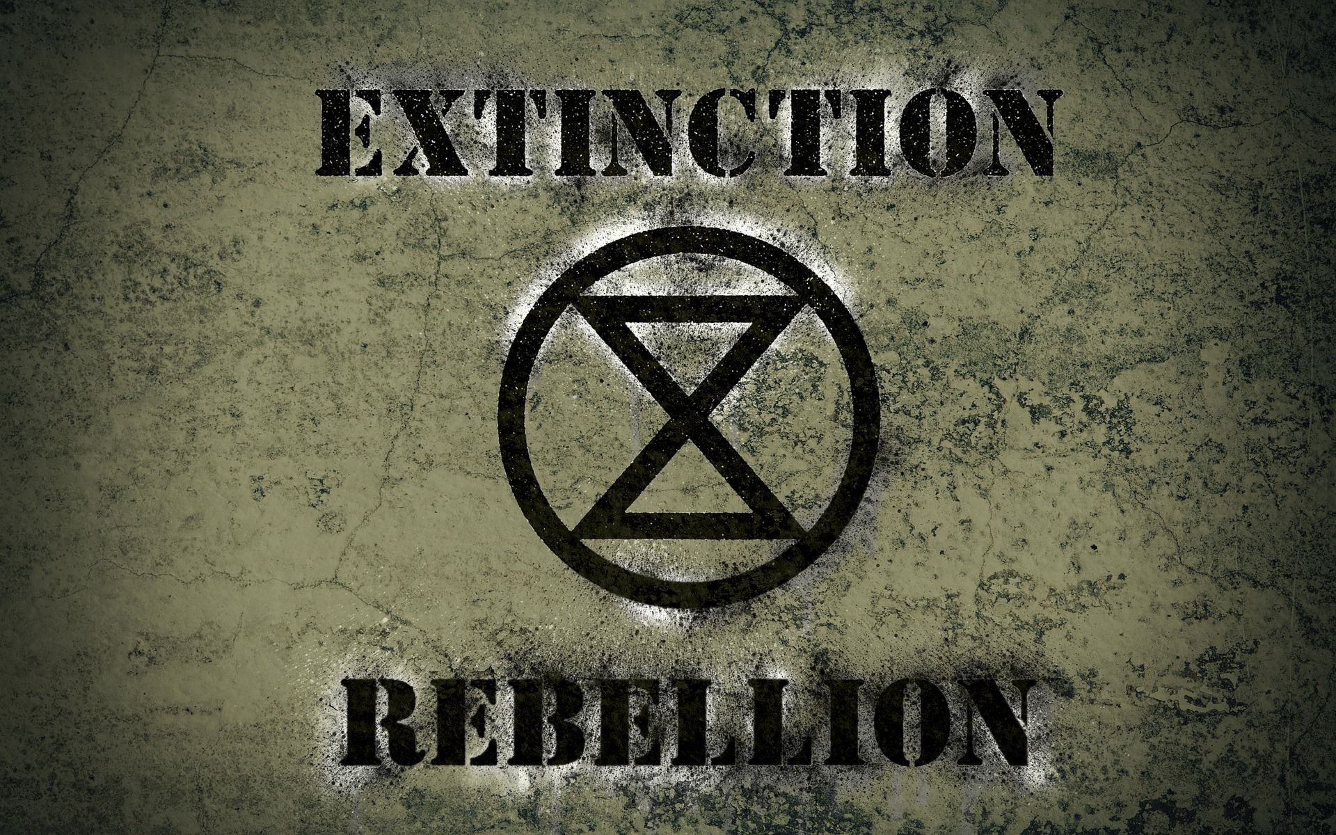 Extinction Rebellion Co Founder Downplays Holocaust