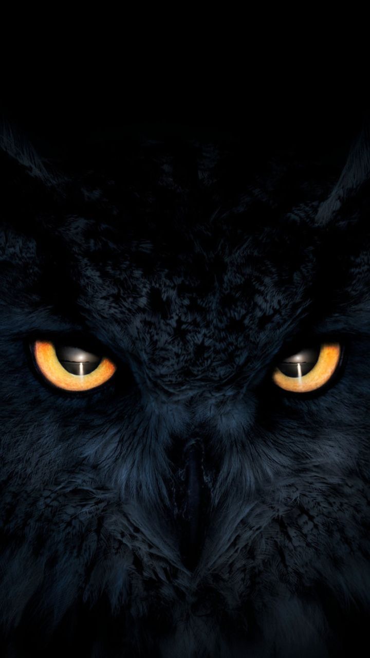 Owl, dark, glowing eyes, muzzle, 720x1280 wallpaper. Owl wallpaper, Eyes wallpaper, Owl wallpaper iphone