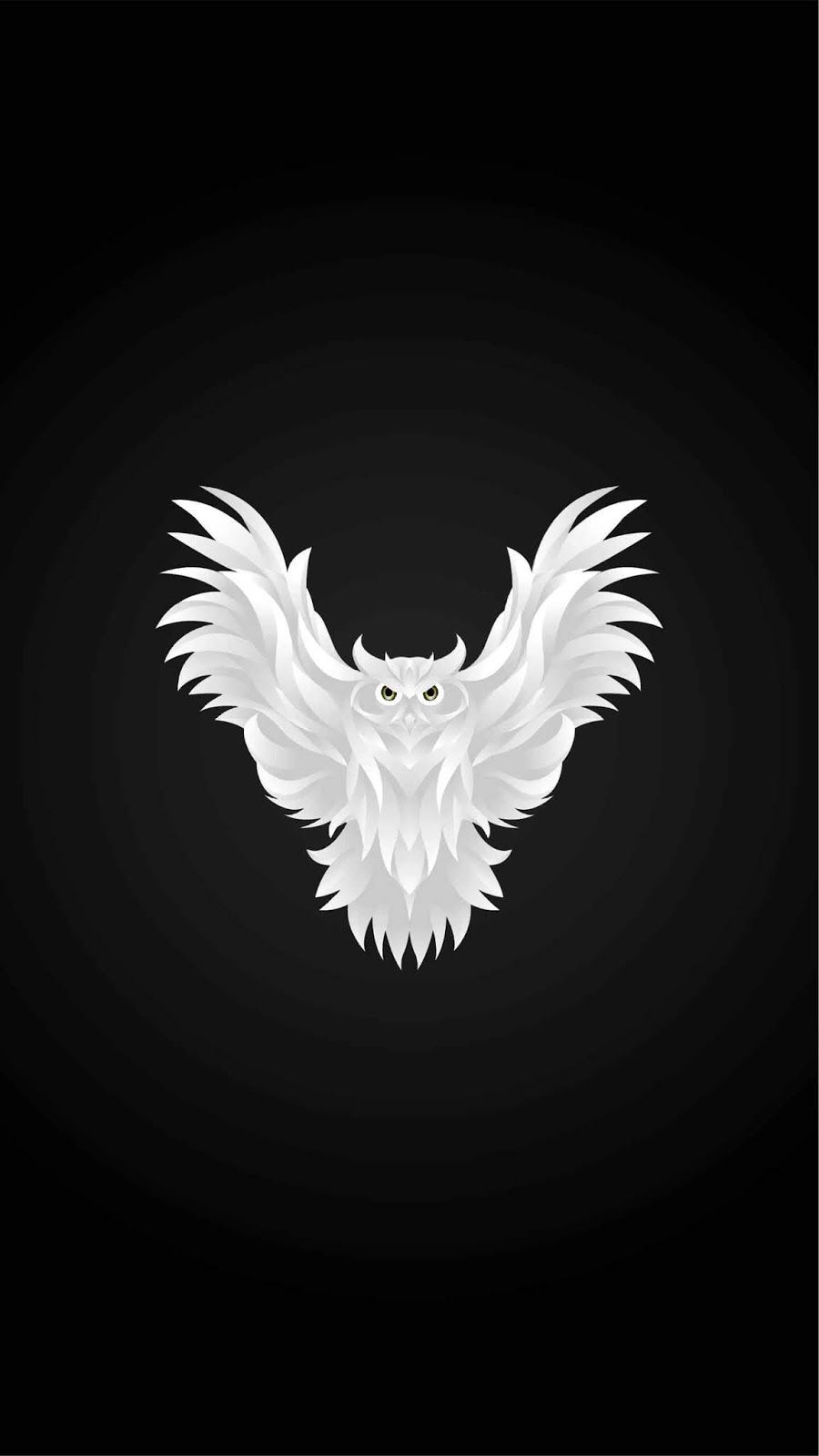 Owl, black, owl colorful, HD phone wallpaper | Peakpx