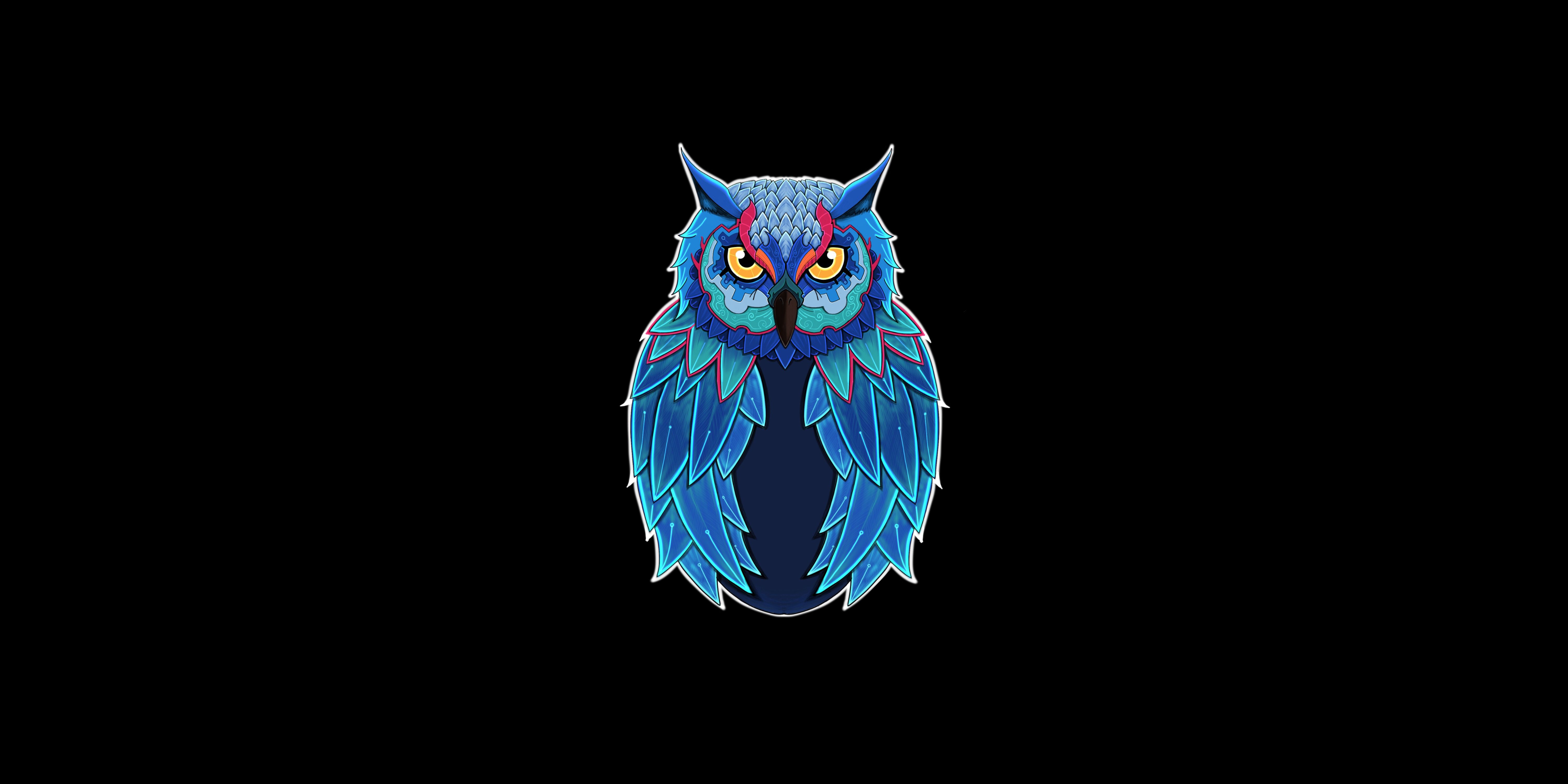 Owl Dark 5k, HD Animals, 4k Wallpaper, Image, Background, Photo and Picture