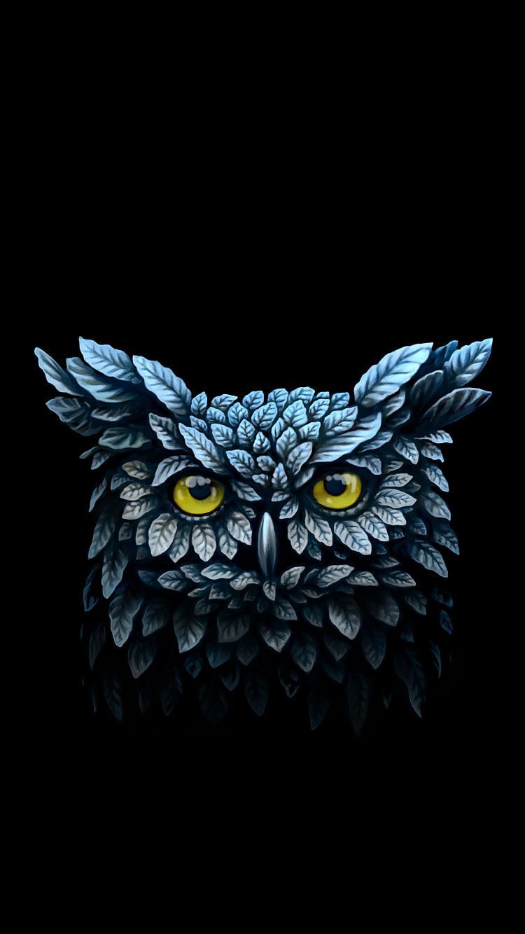 HD wallpaper owl art darkness artwork blue eyes graphics black  background  Wallpaper Flare