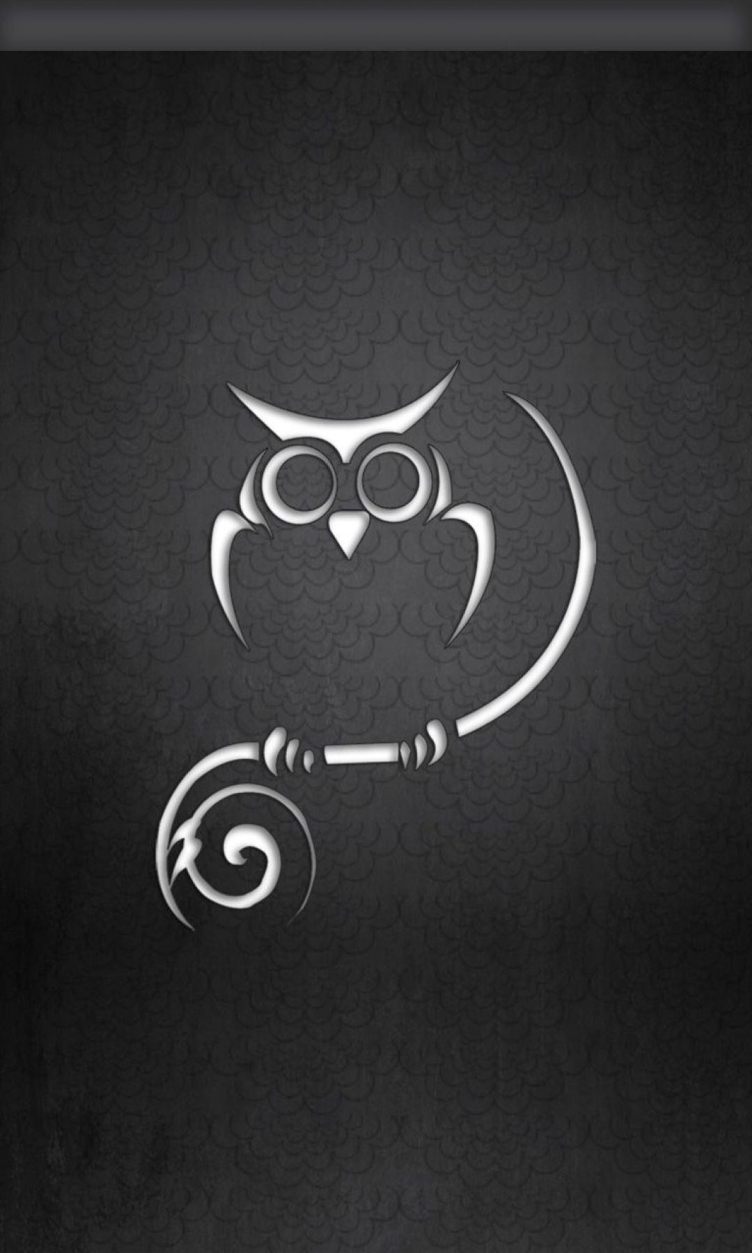 Black and White Owl, iPhone, Desktop HD Background / Wallpaper (1080p, 4k) (1080x1800) (2020)